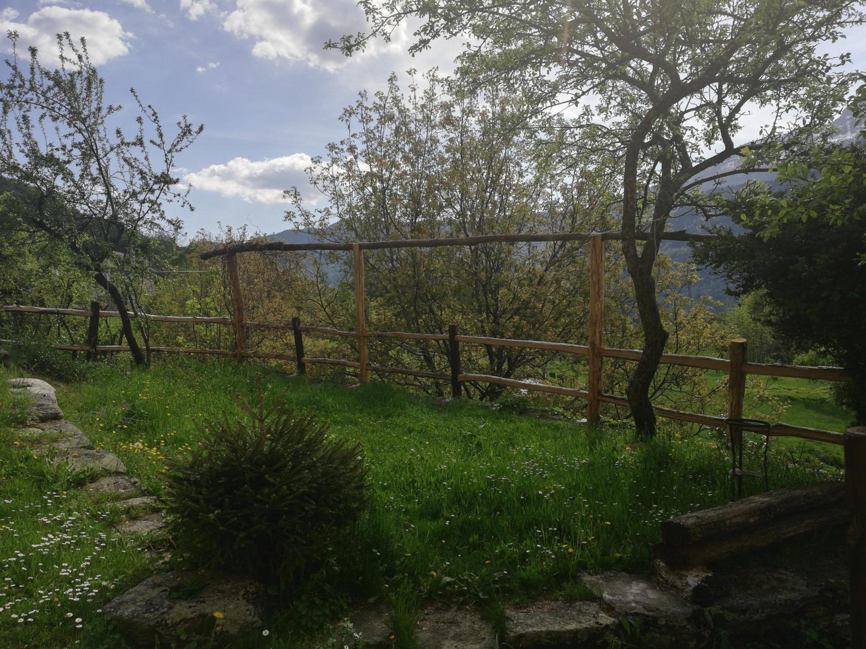 Photo 25