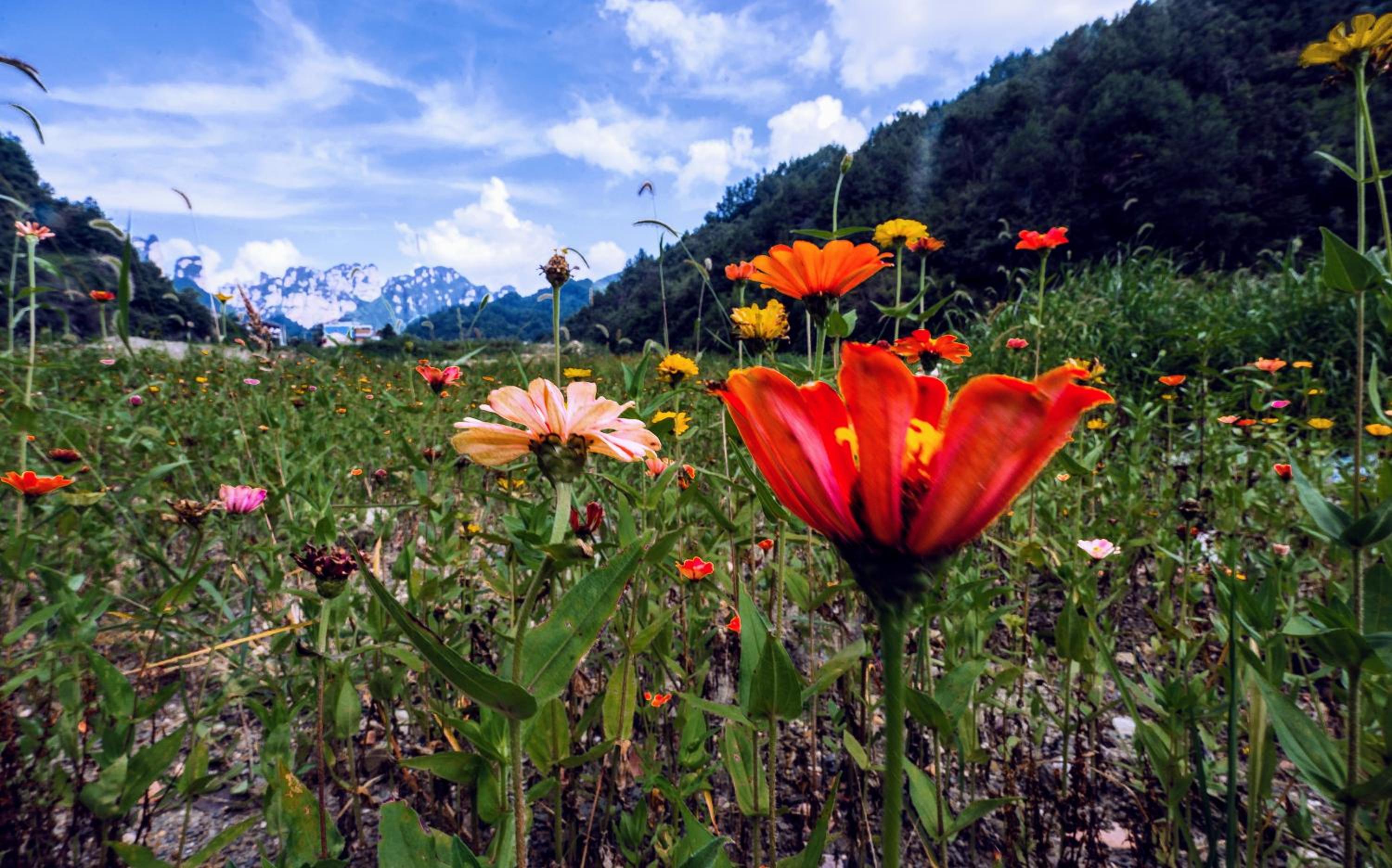 Whispering Mountains Boutique Hotel