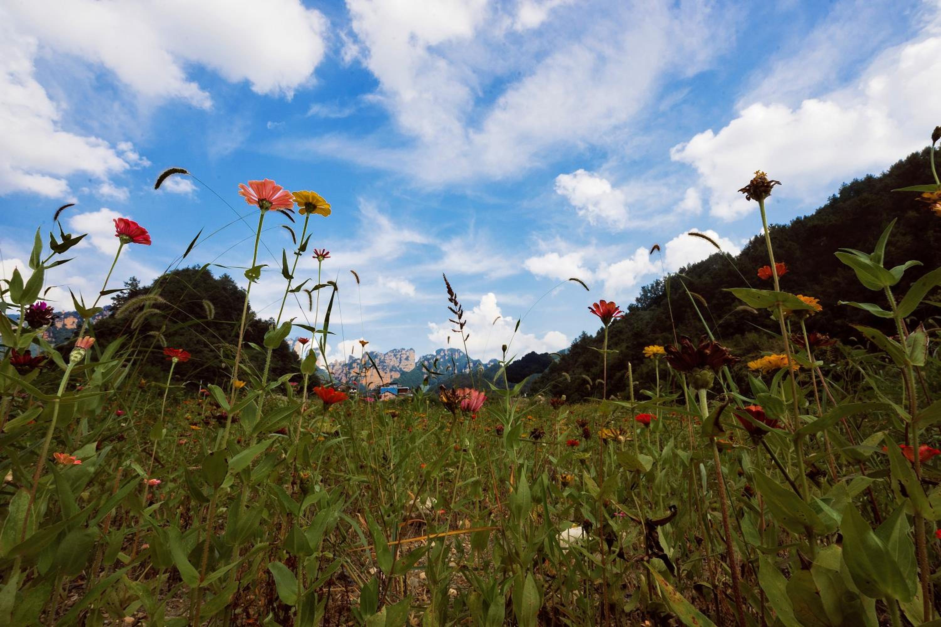 Whispering Mountains Boutique Hotel