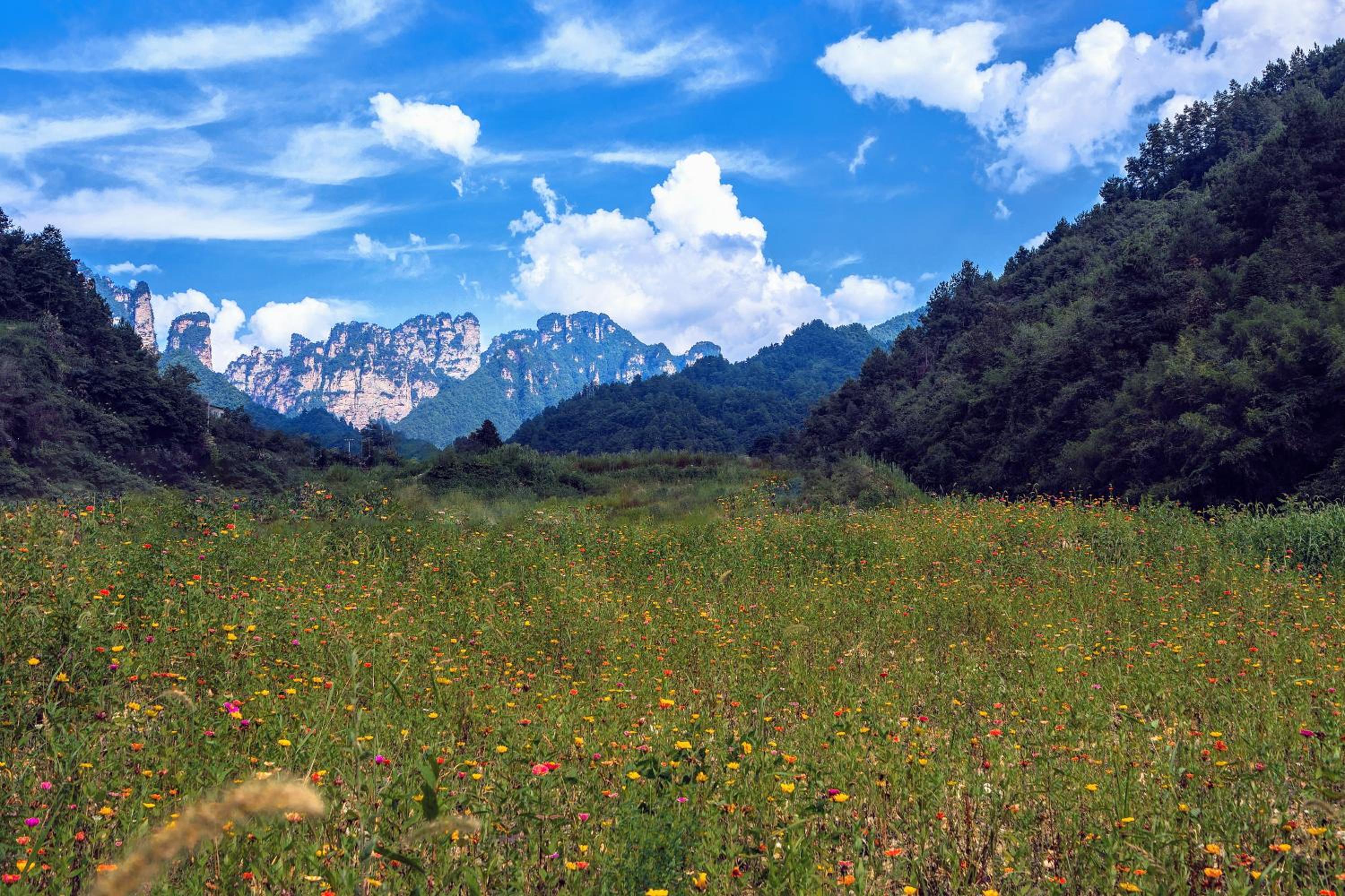 Whispering Mountains Boutique Hotel