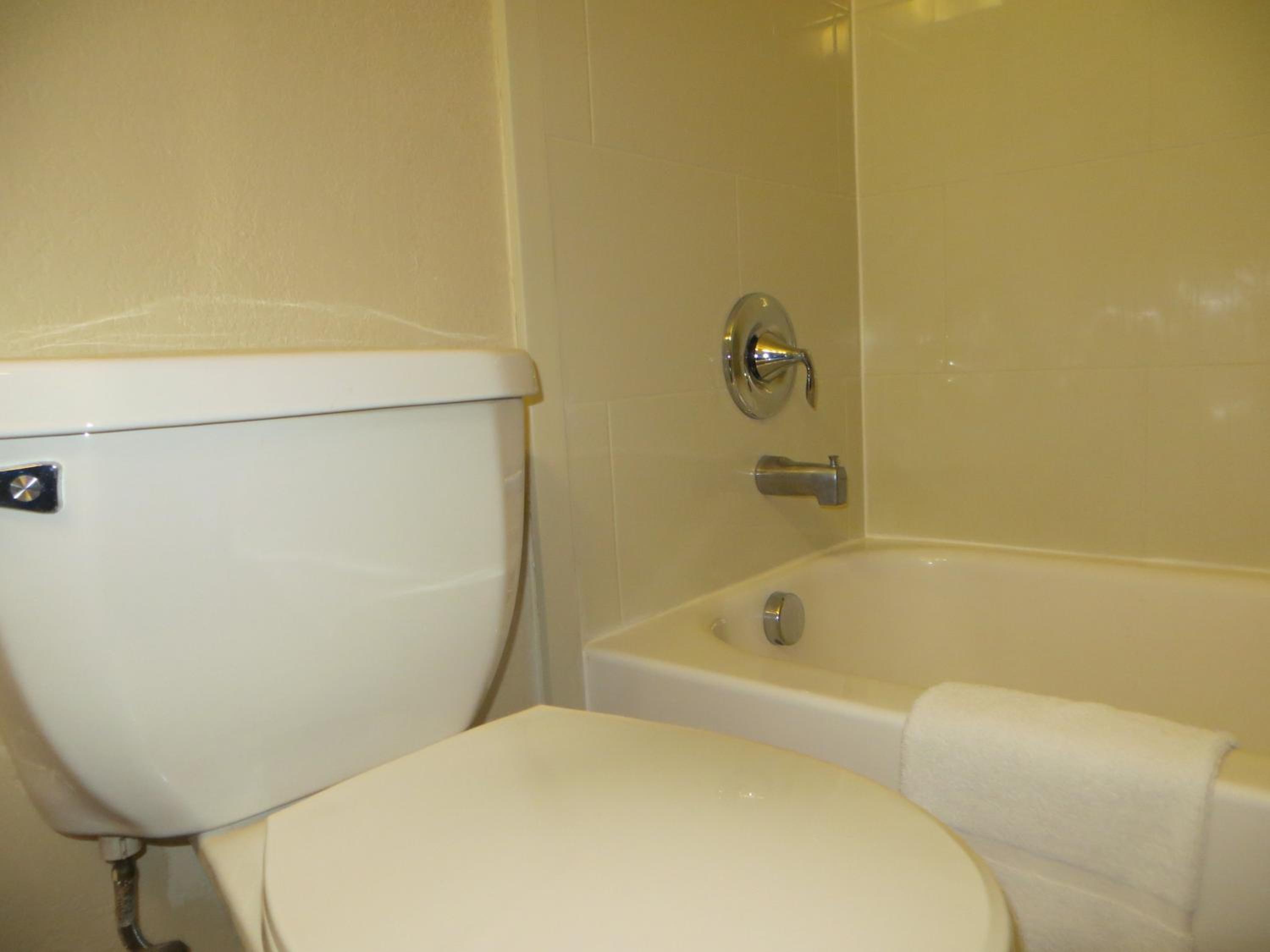 Comfort Suites New Braunfels - San Antonio Area