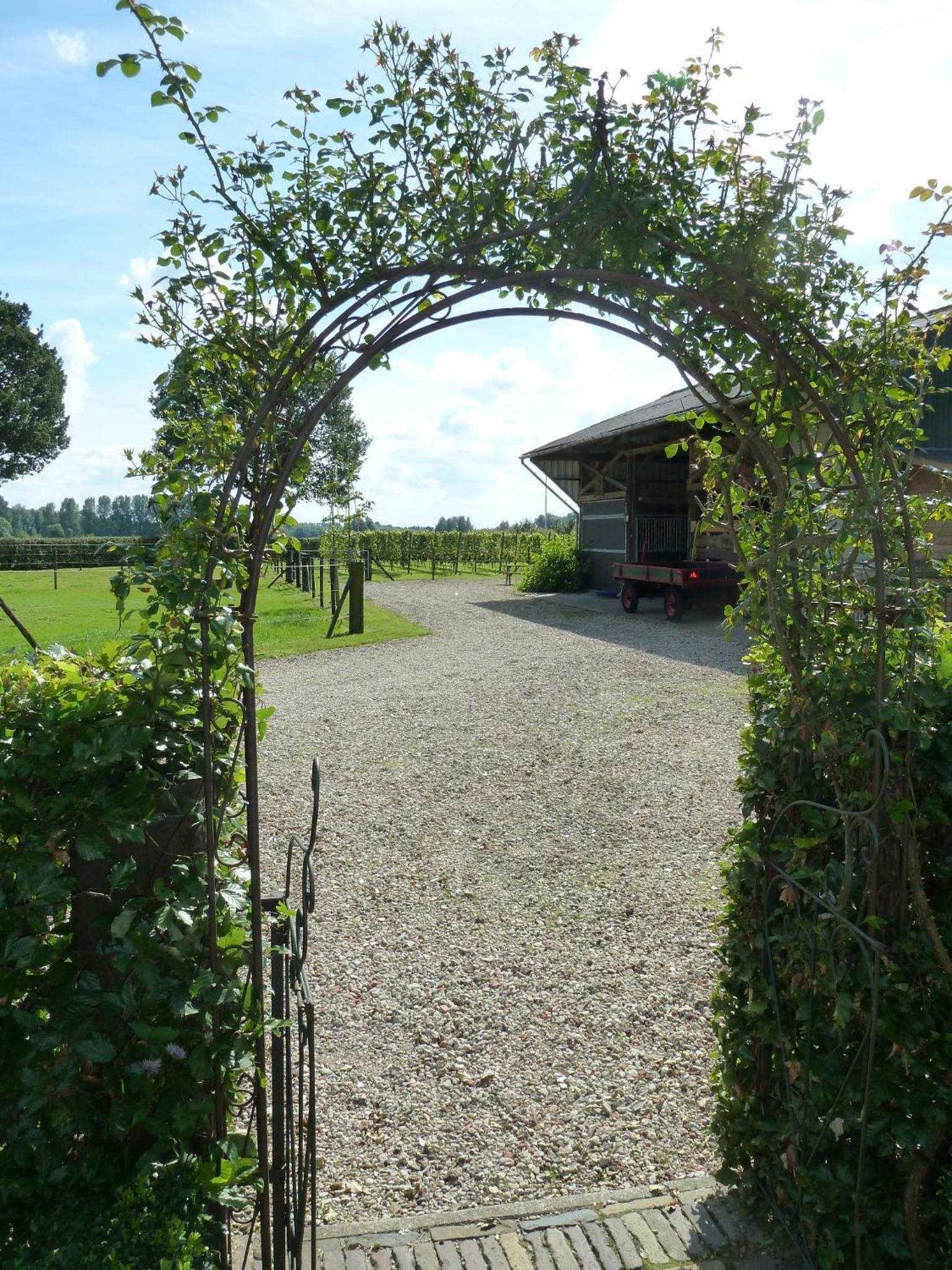 B&B Hofstede De Groote Laar view 3
