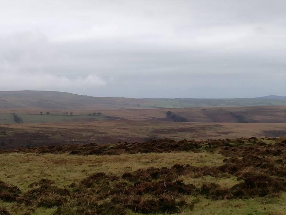 Photo 42