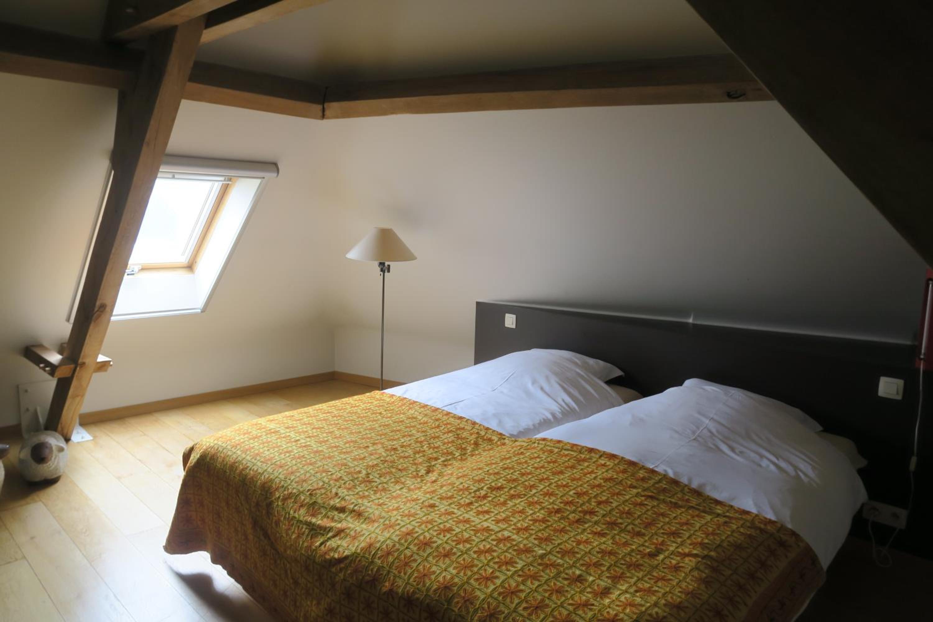 B&B / Studio De Druivelaar in hartje Kluisbergen (Berchem)