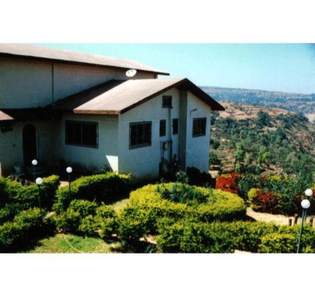 Photo 7