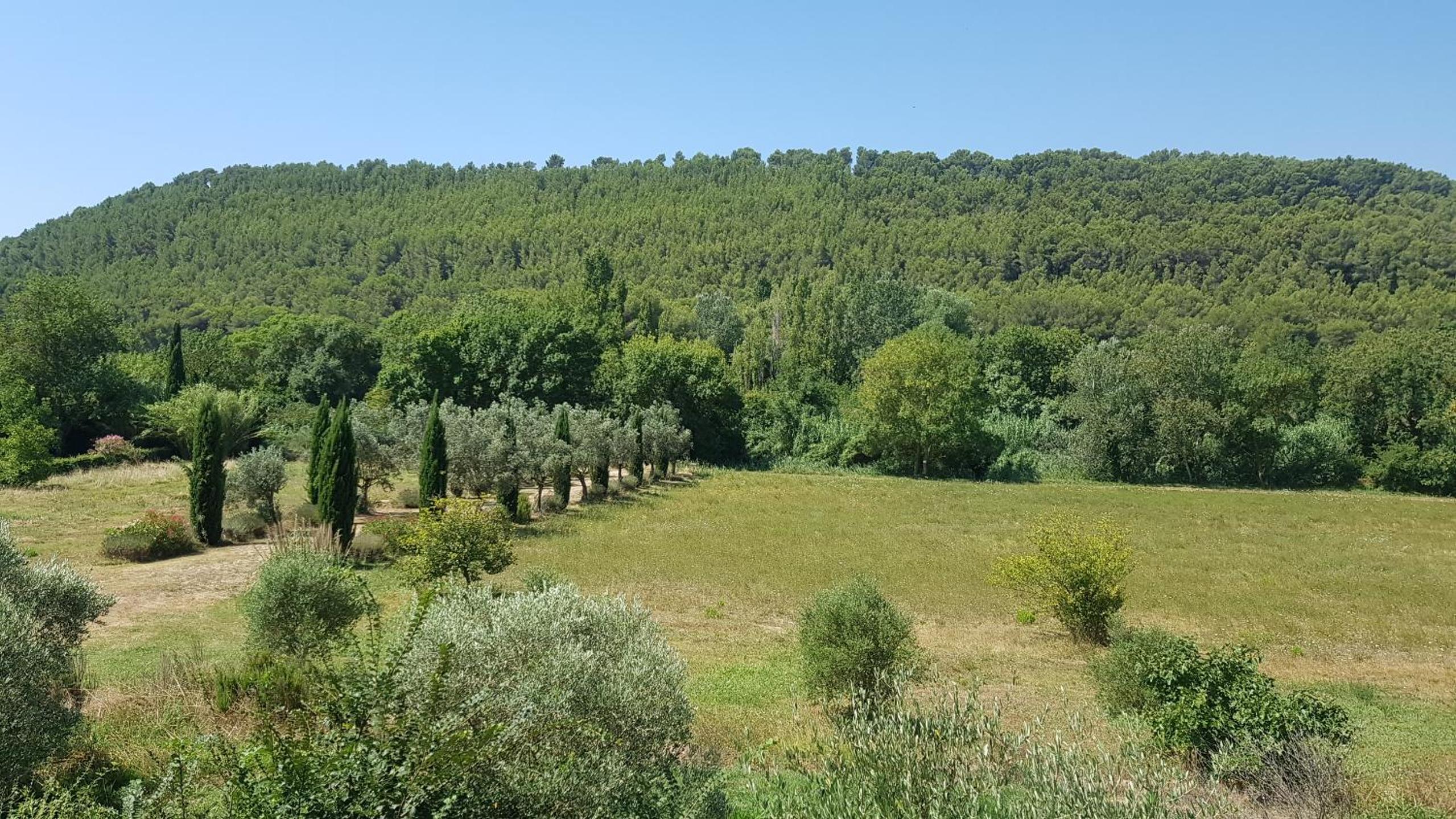 Moulin de Bonfilhon view 5