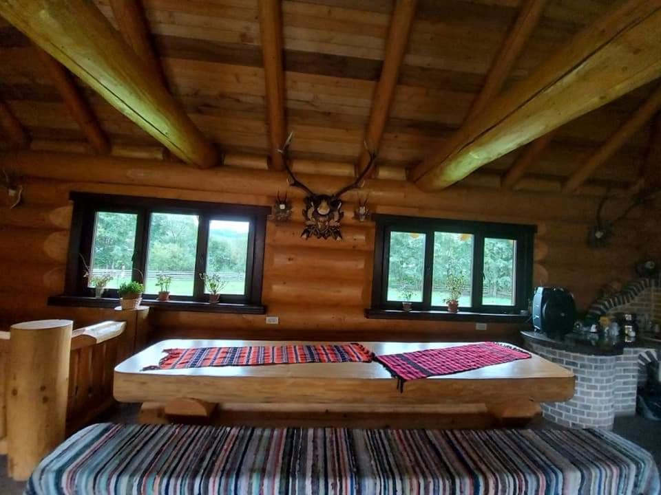 Pensiunea Argela view 3