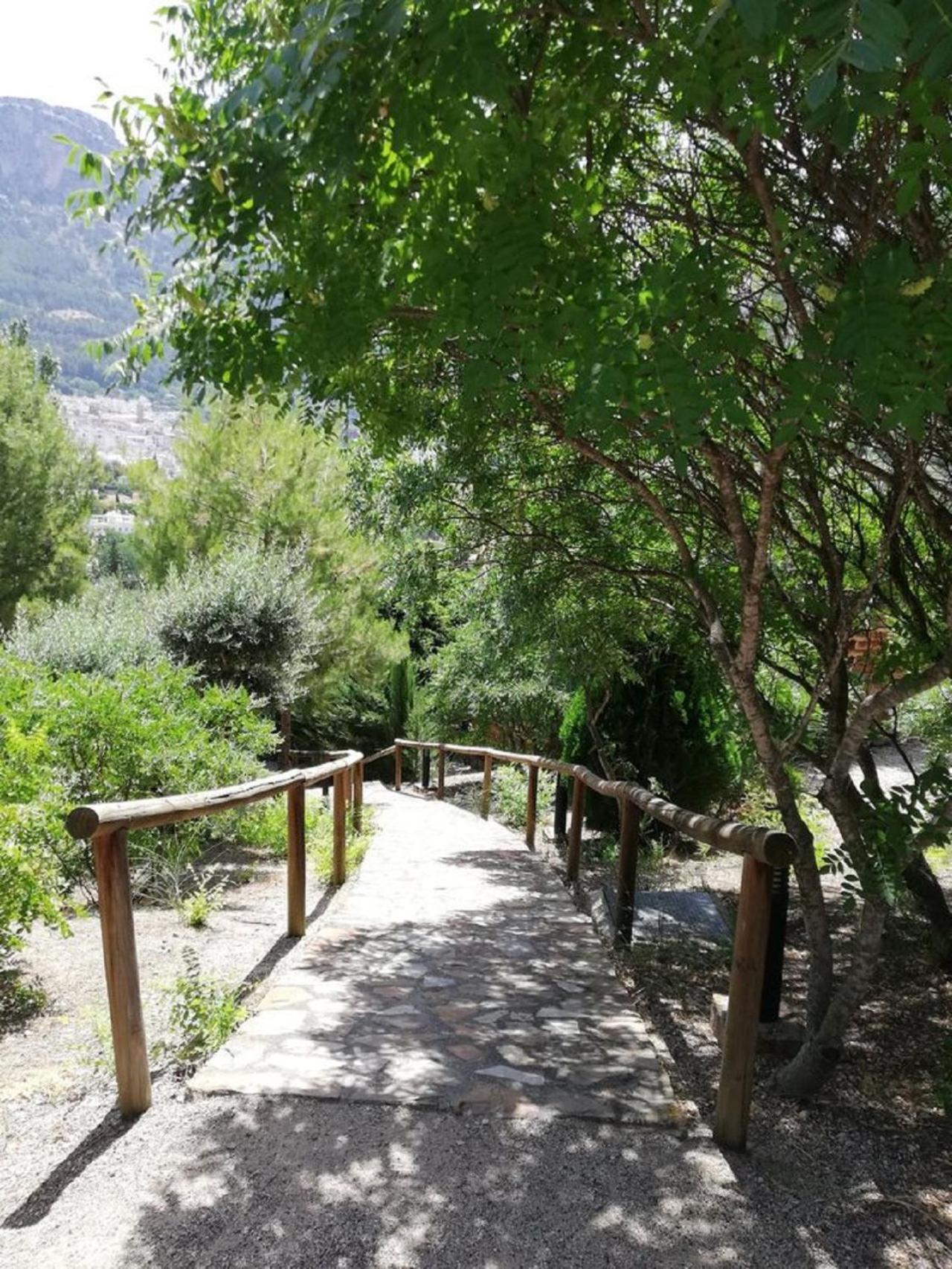 Photo 15