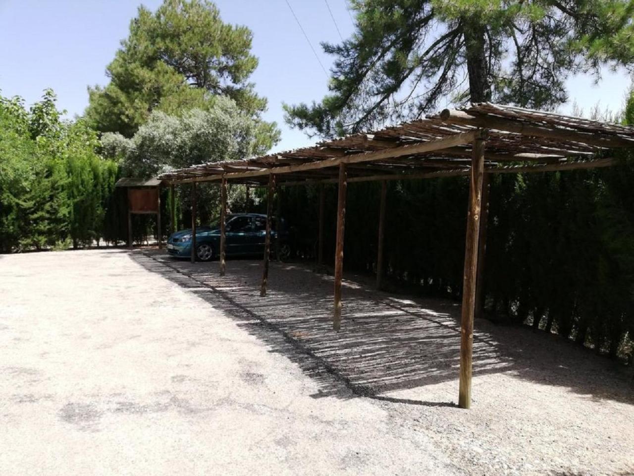 Photo 12