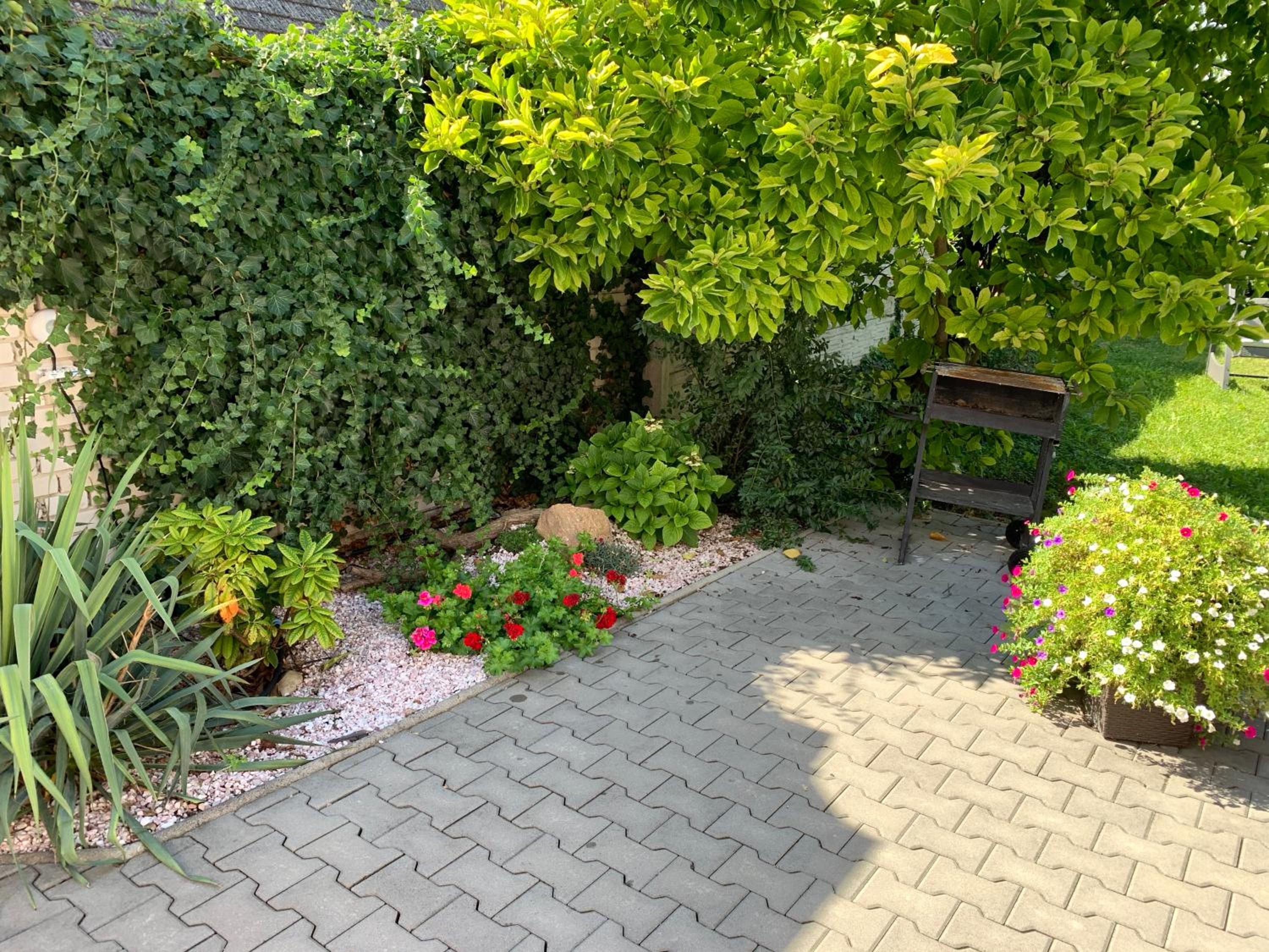 Photo 38