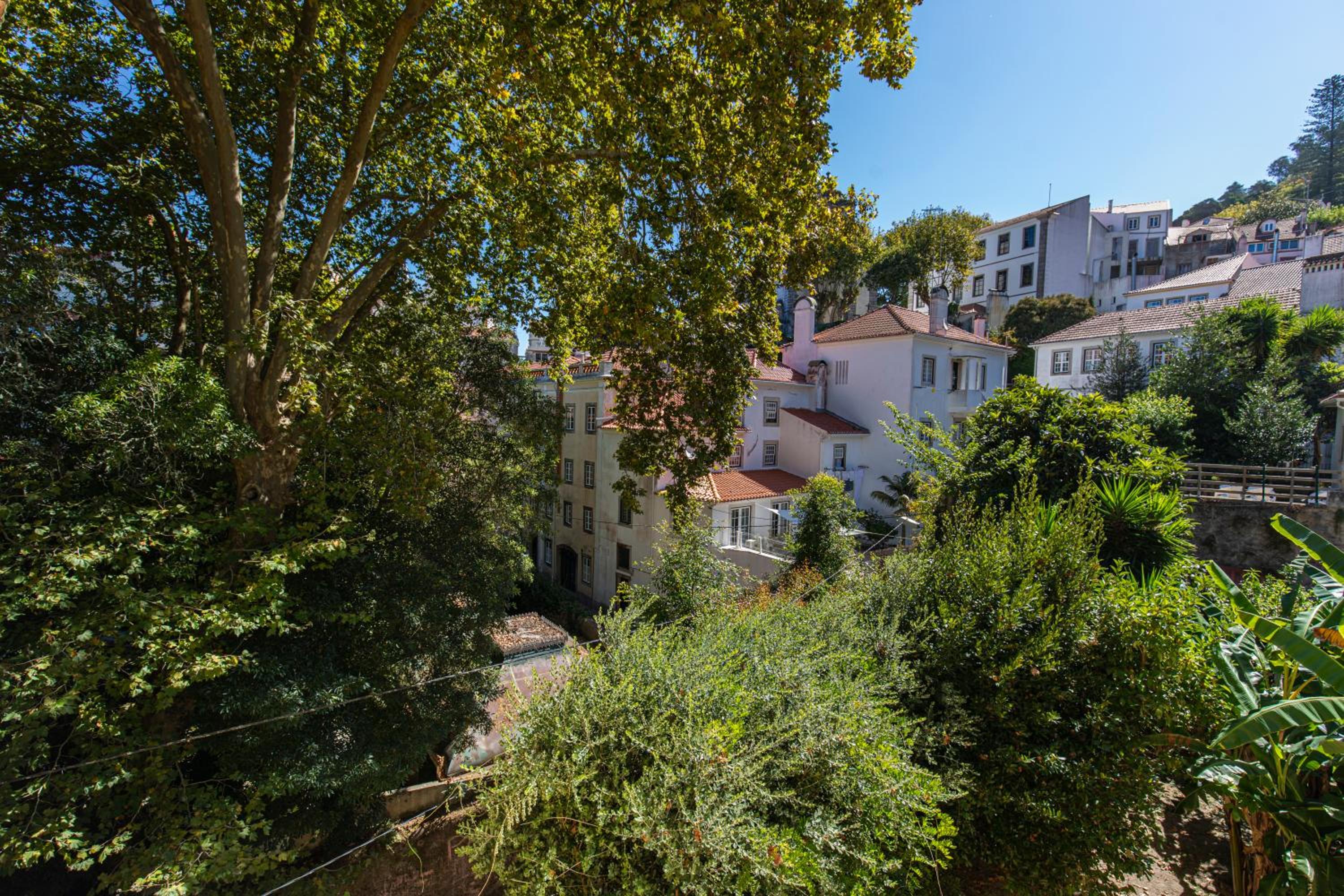 Pendoa Sintra Collection-Soft Opening