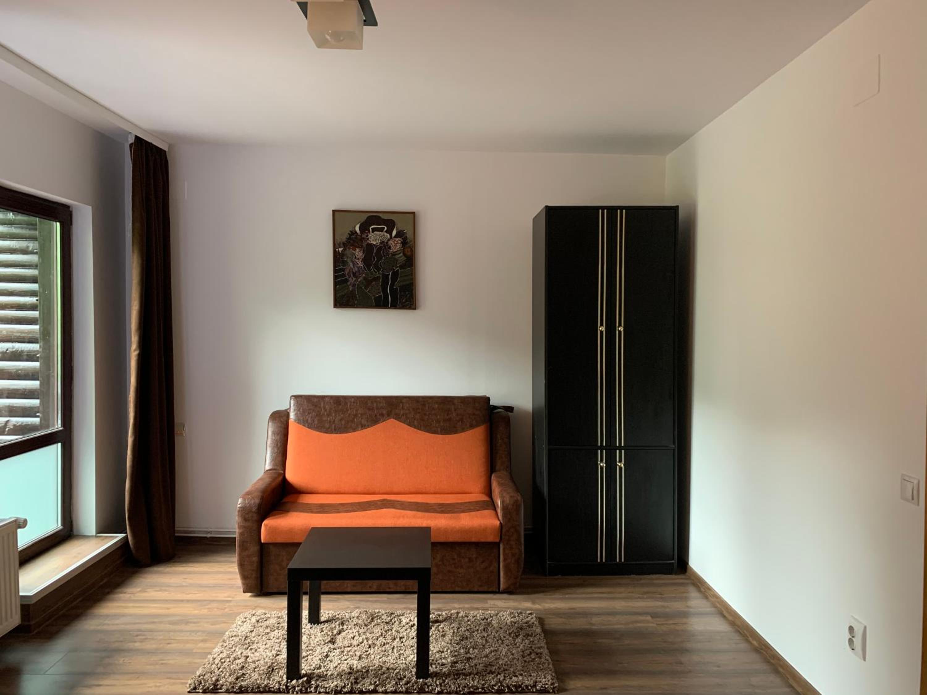 Belle View Apartment Sinaia view 4