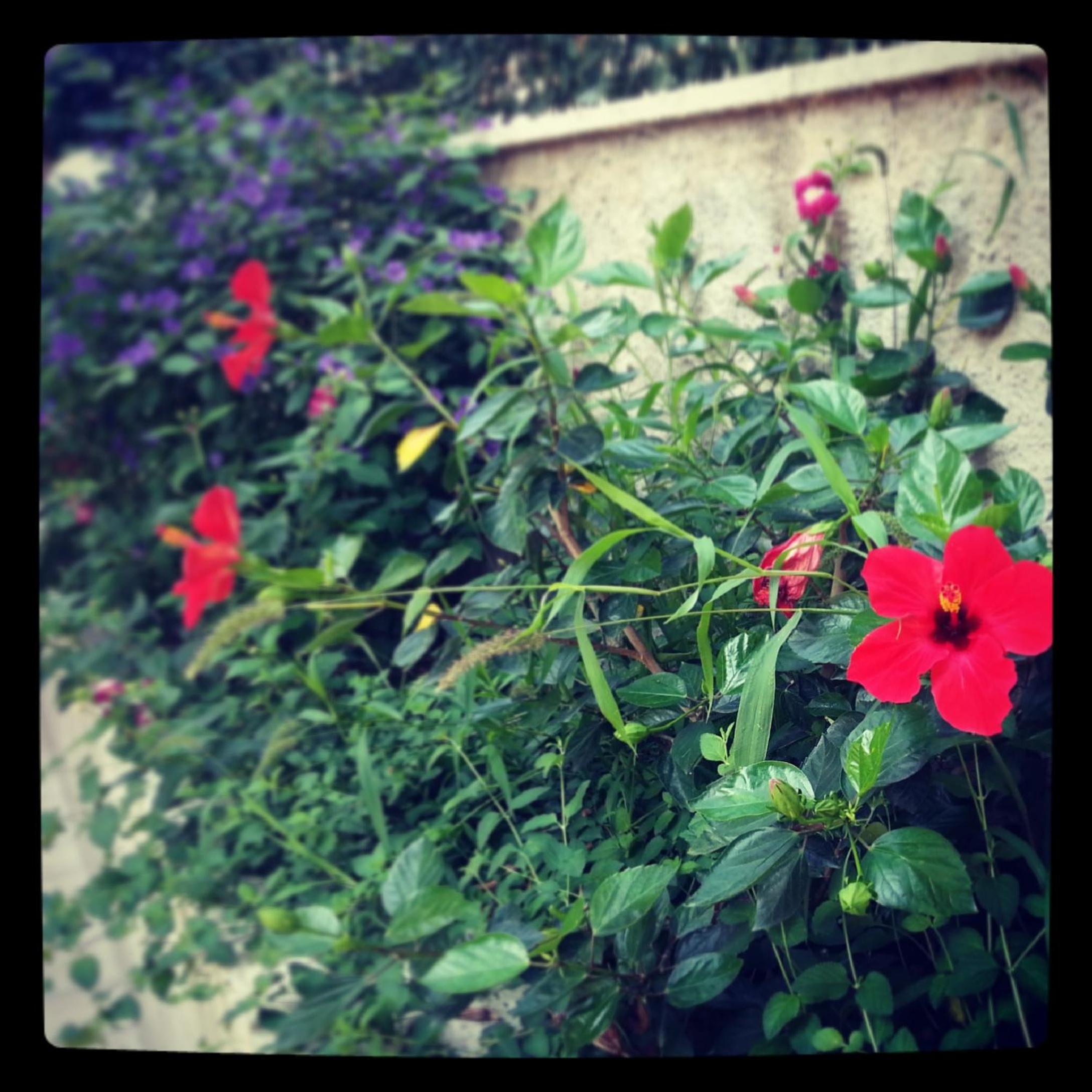 Photo 53