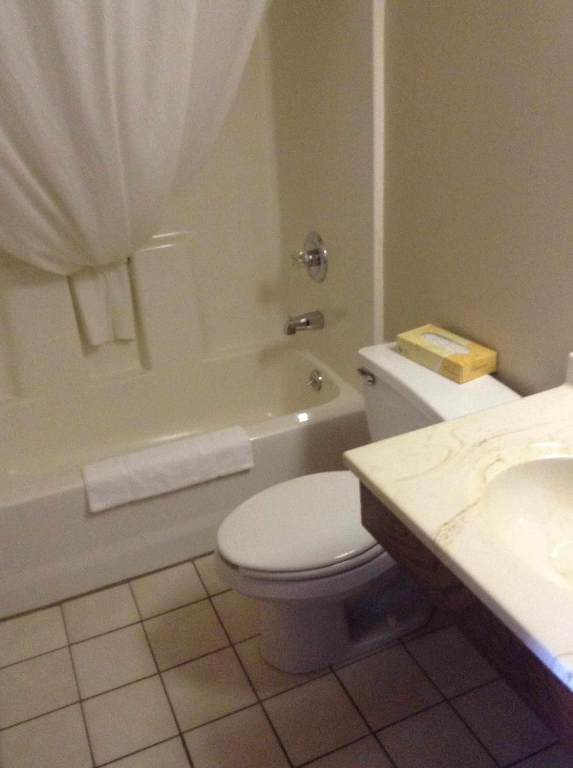 Photo 42