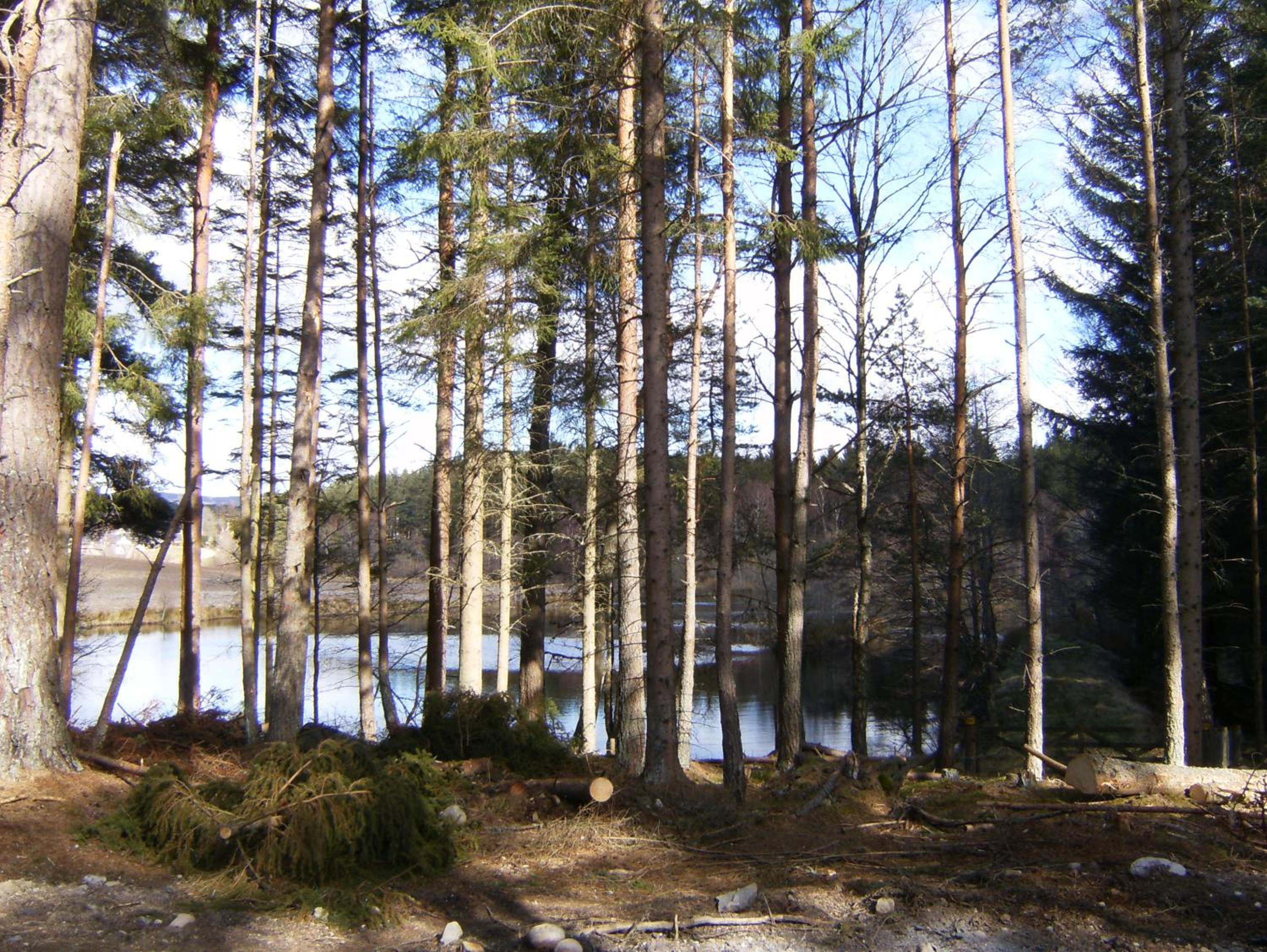 Photo 32