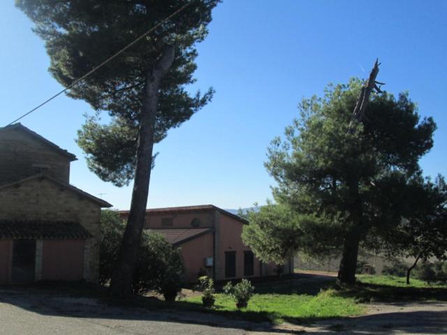 Photo 41