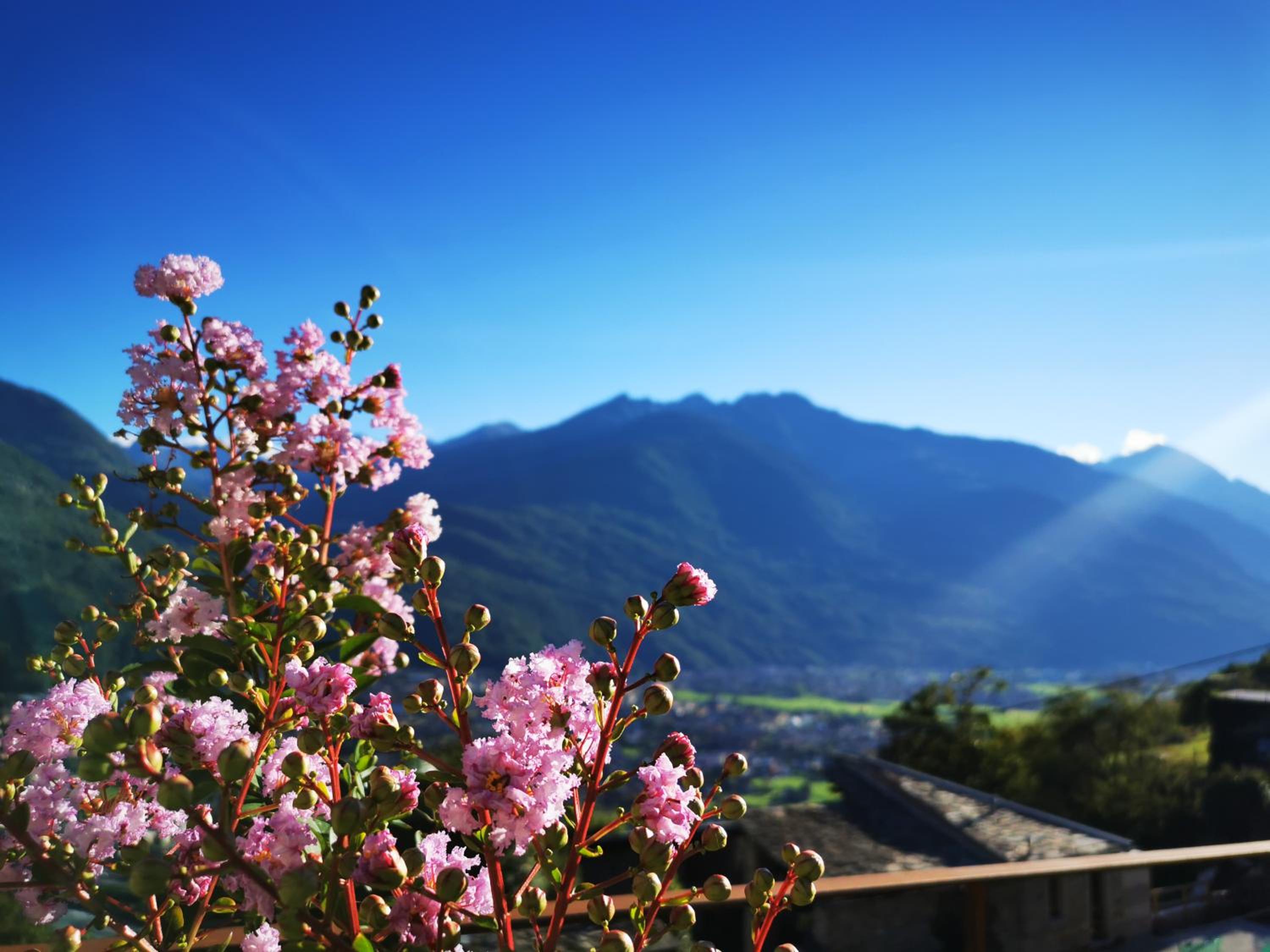 Borgo Selvapiana en Morbegno