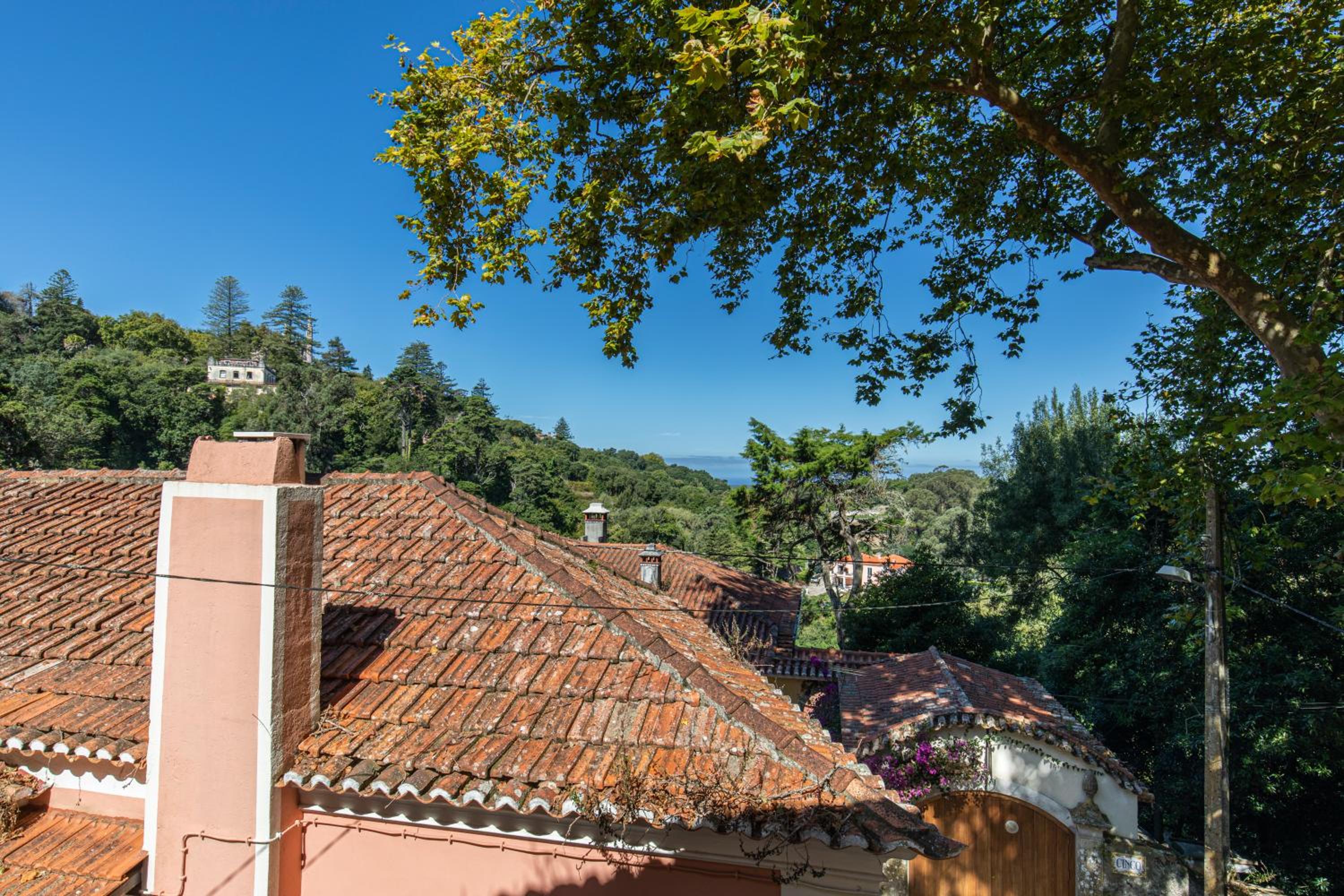 Pendoa Sintra Collection-Soft Opening