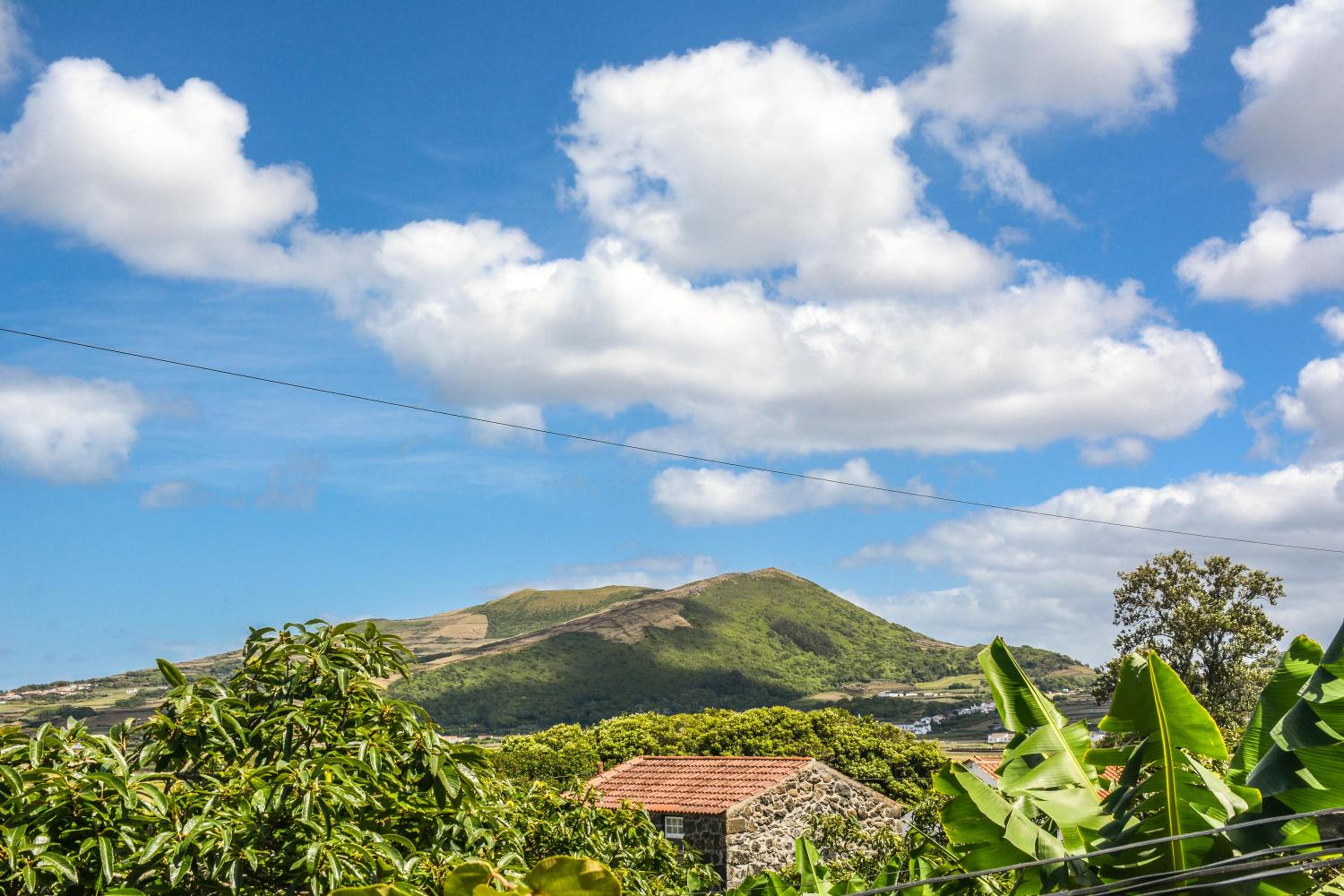 Photo 56