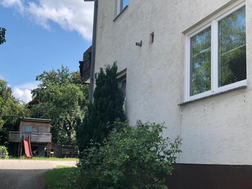 Grüner Baum ferienwohnung