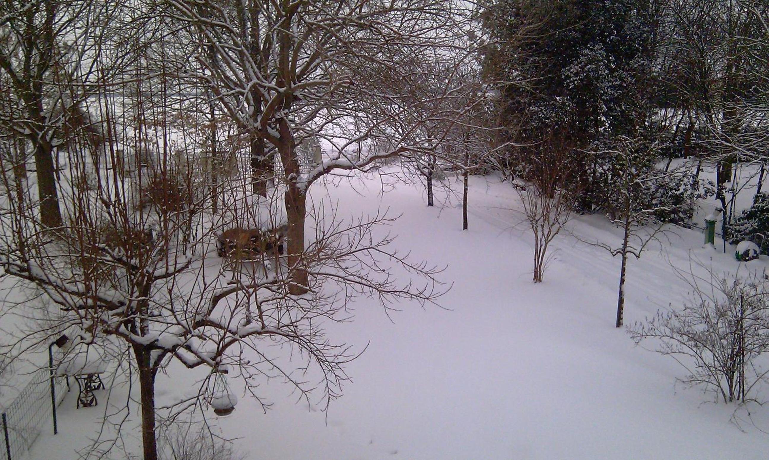 Photo 25