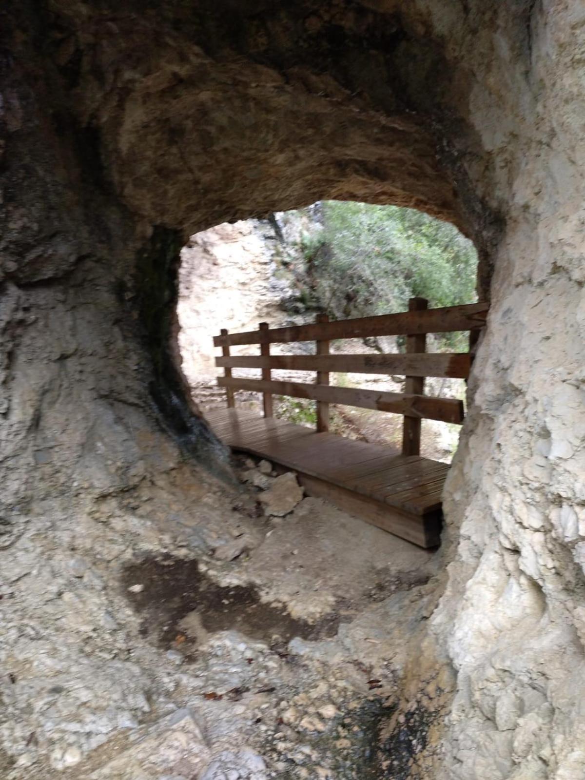 Photo 29