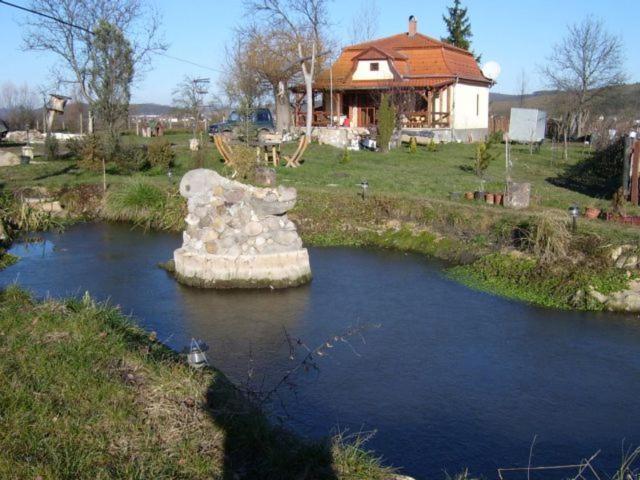Photo 64
