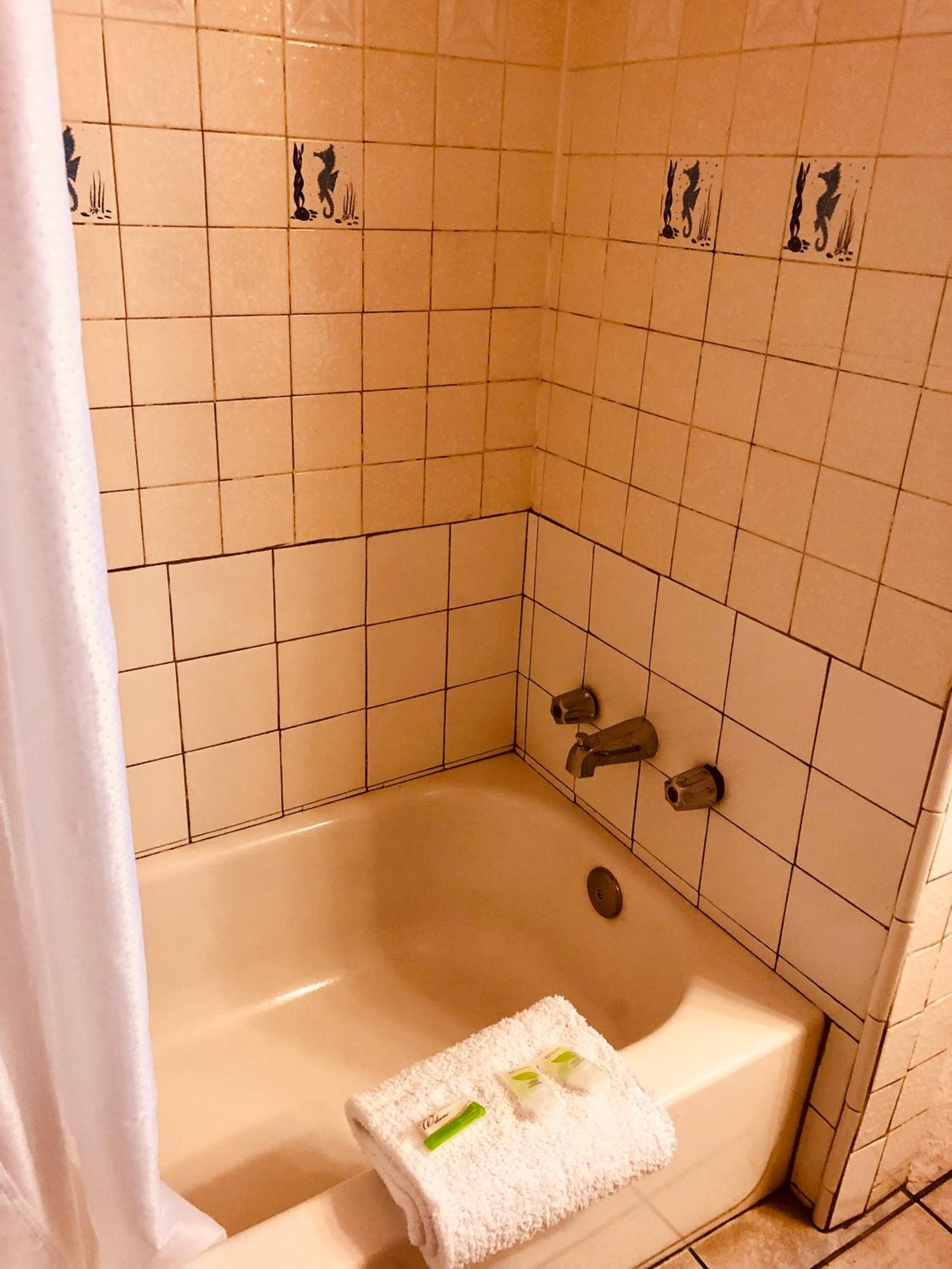 Carmel Resort Inn - Property Image 13