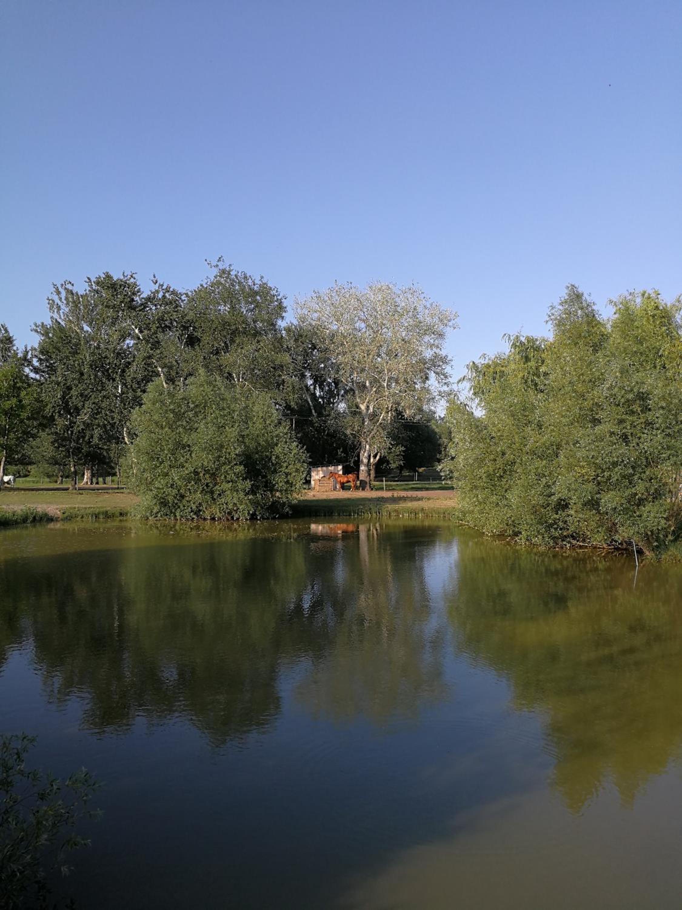 Viktória Lovas Panzió - Image 5