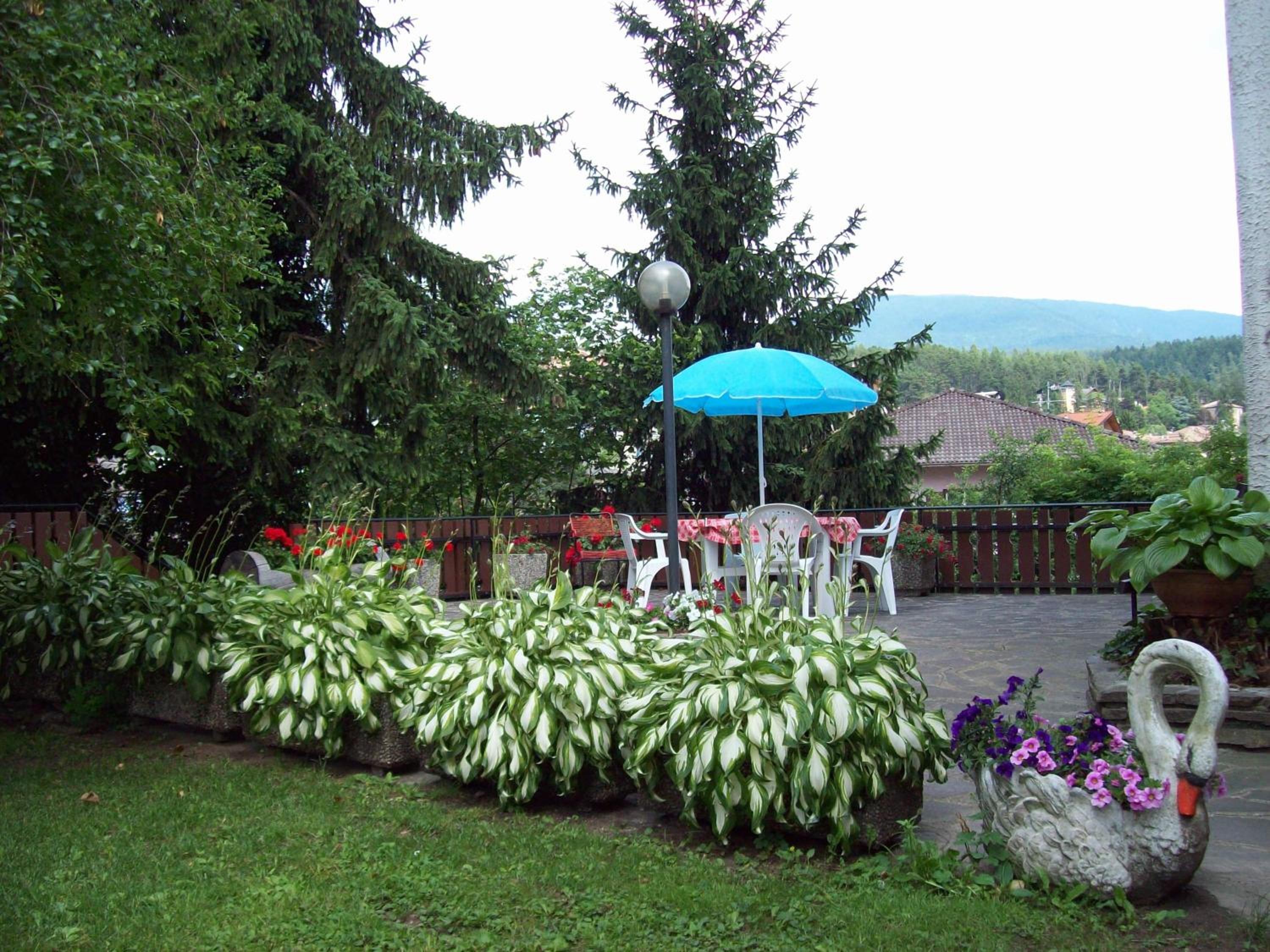 Photo 44