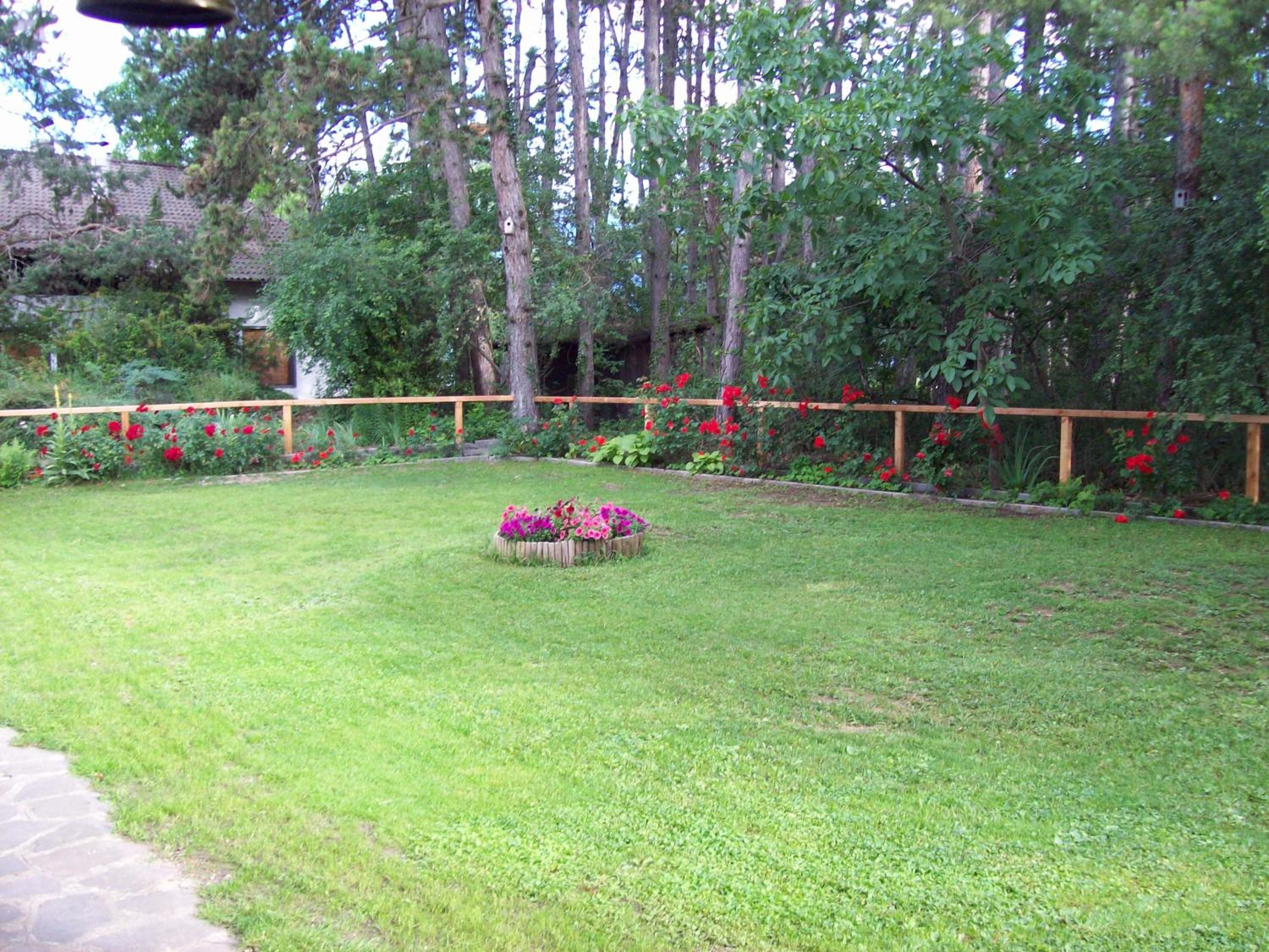 Photo 43