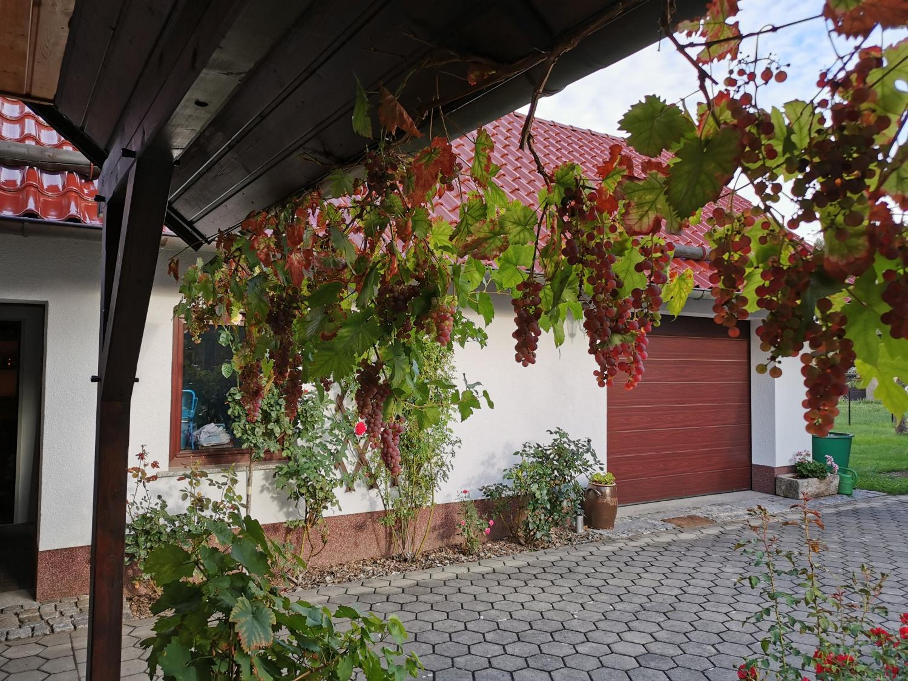 Ferienhaus Rosenhof