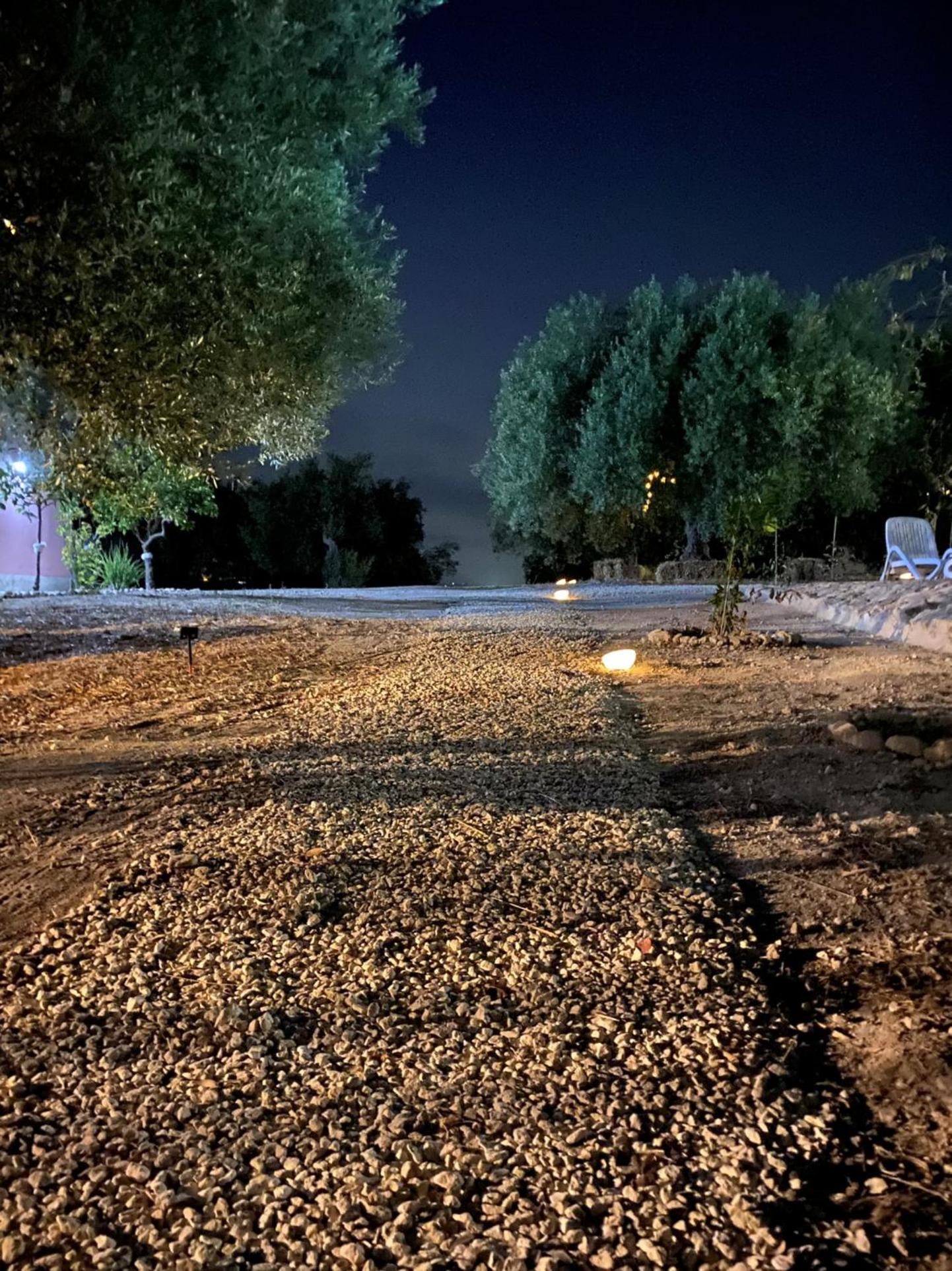 Photo 32