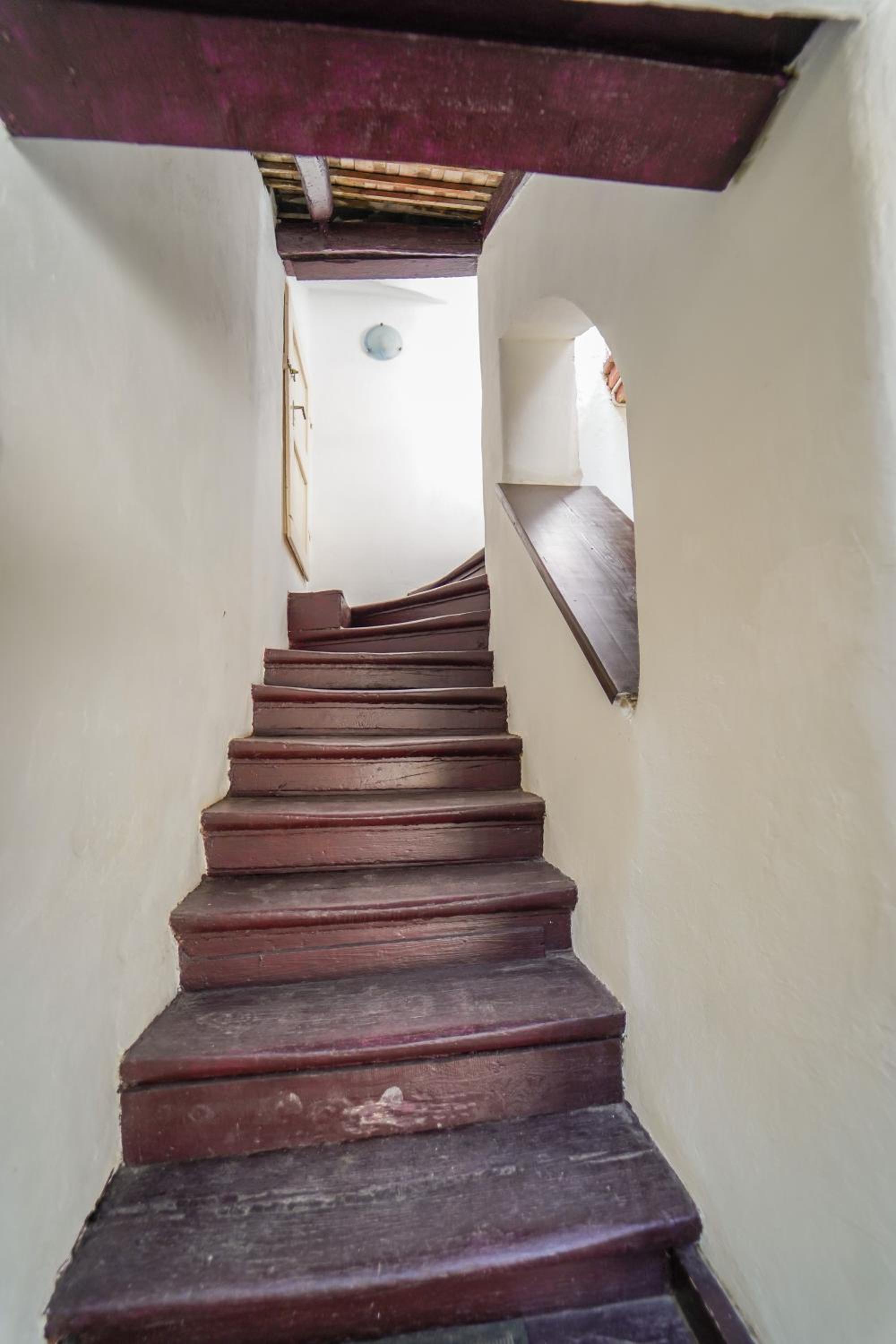 Photo 45