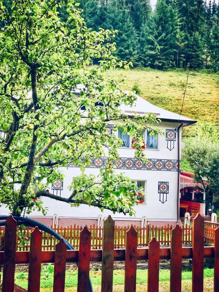 Casa Craciun Ciocanesti view 5