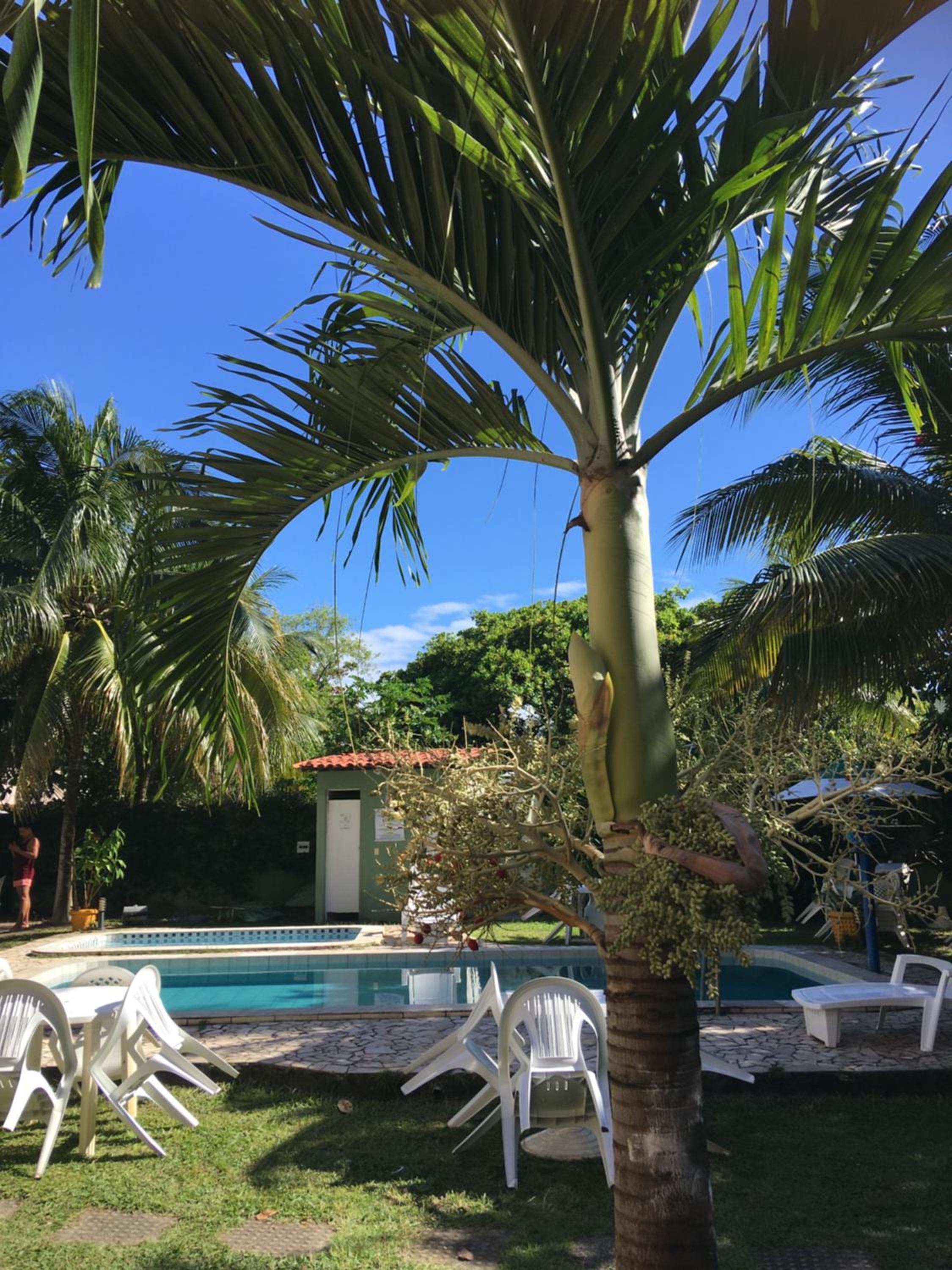 Apartamento Dom Ximenes view 2