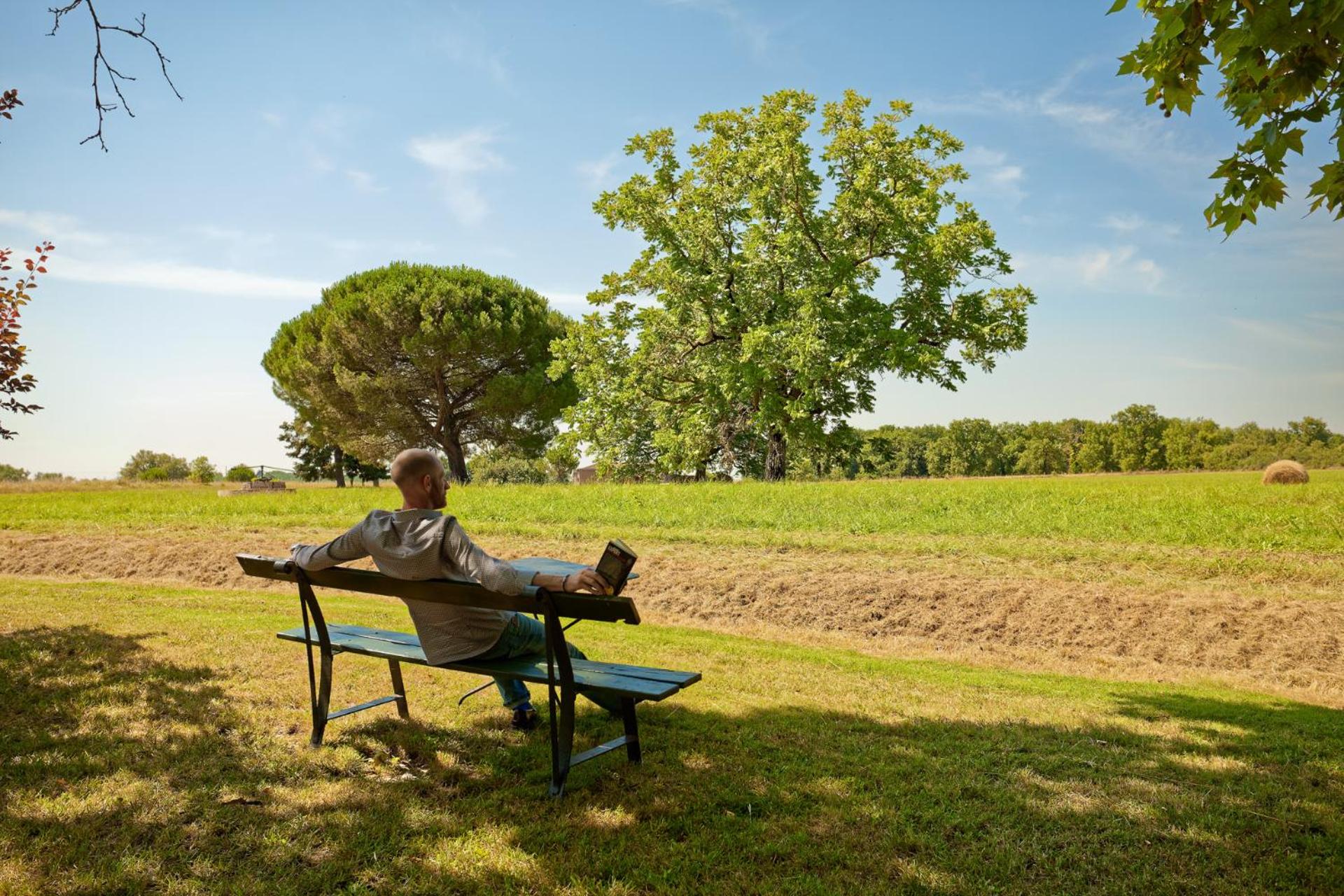 Domaine du Buc, Le Château