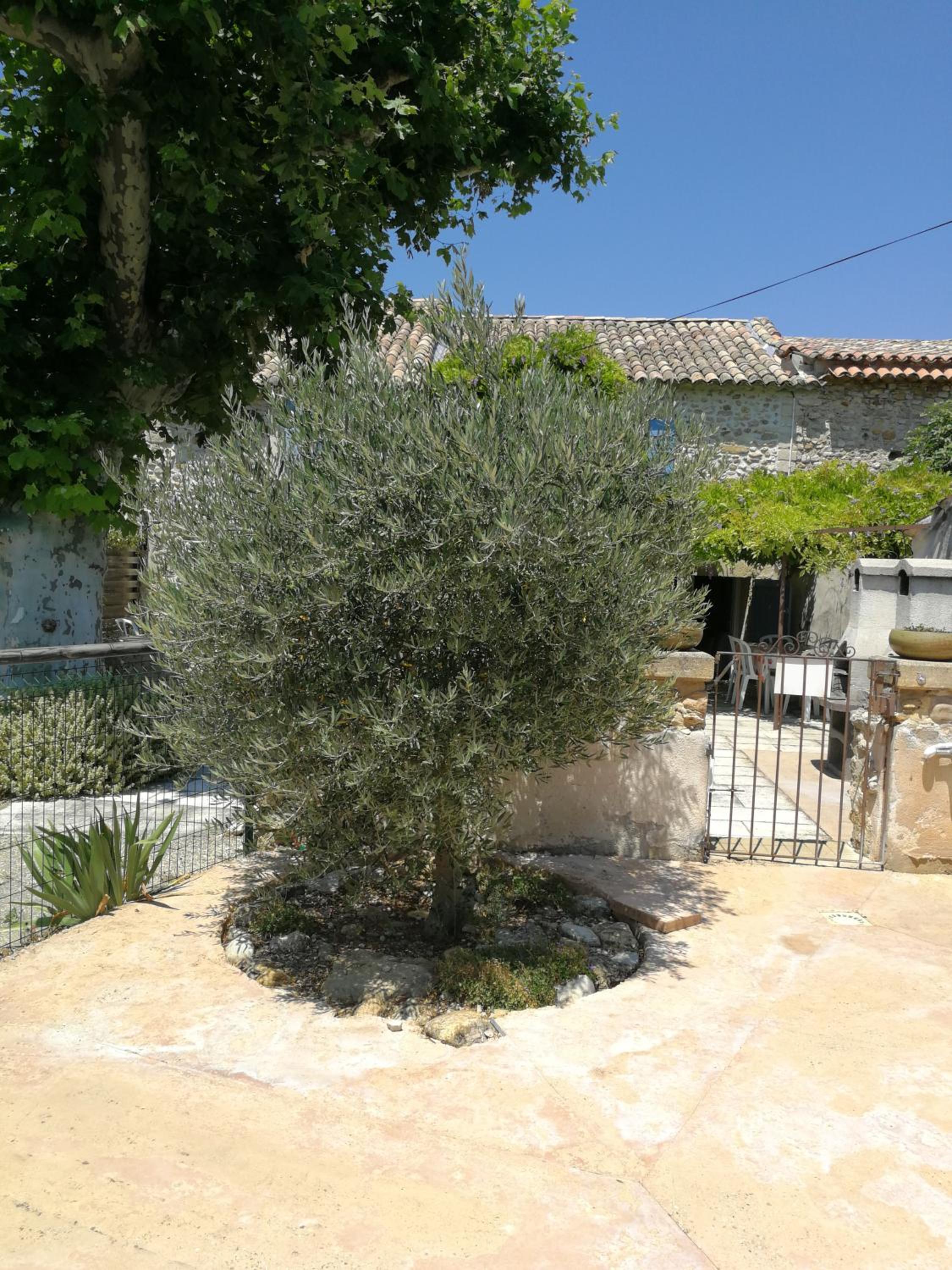 Appartements - Le Mas des Oliviers