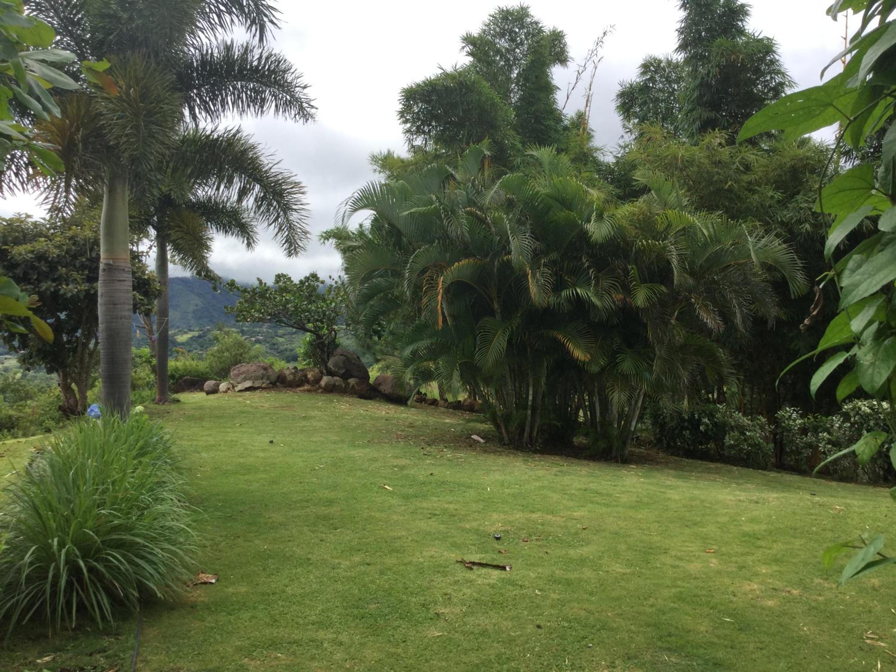 Photo 30
