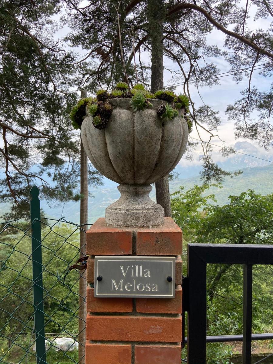 Villa Melosa photo 3