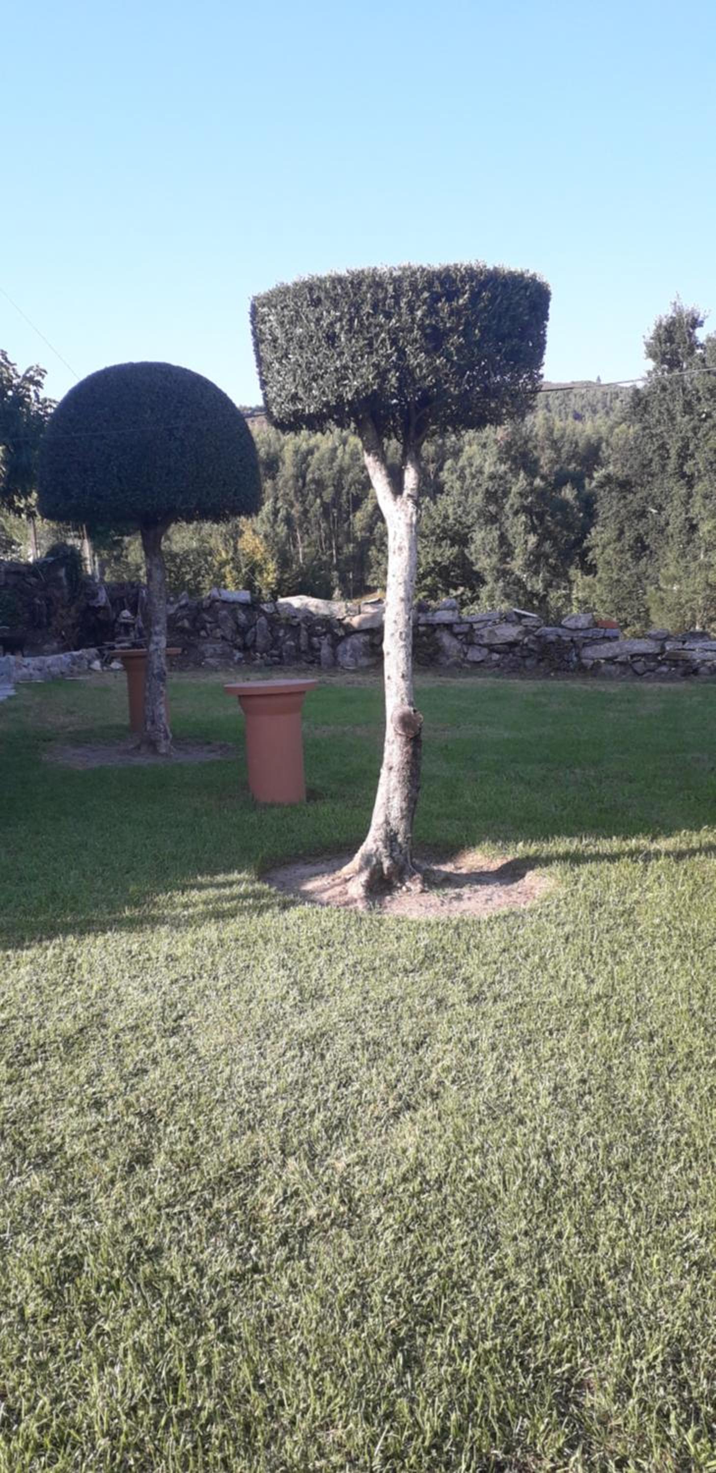 Vivenda Agostinho (Casa de Férias) view 2