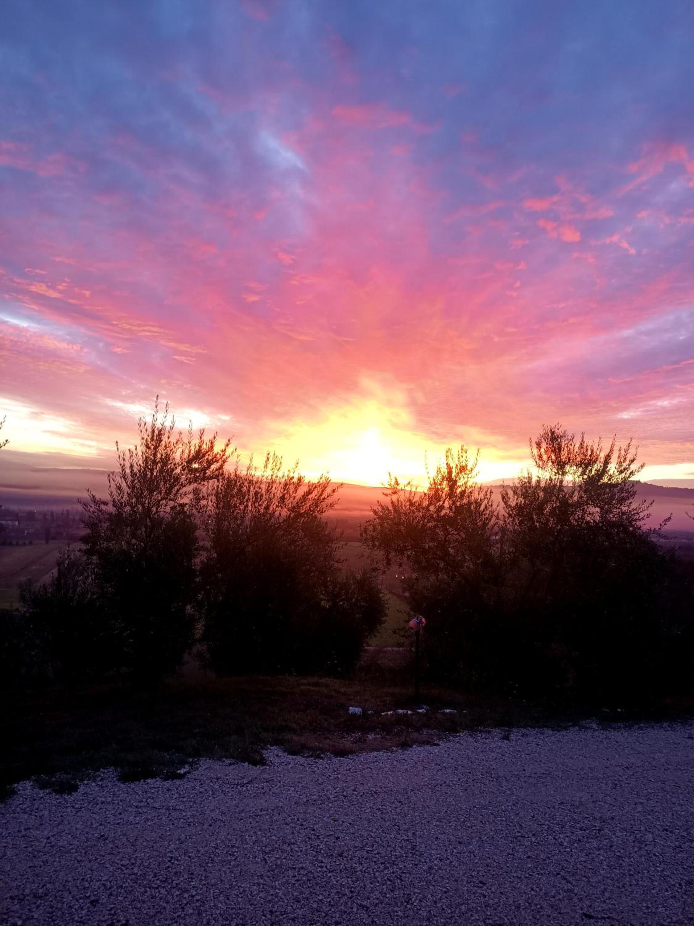 Il Casale di Lavinia view 5