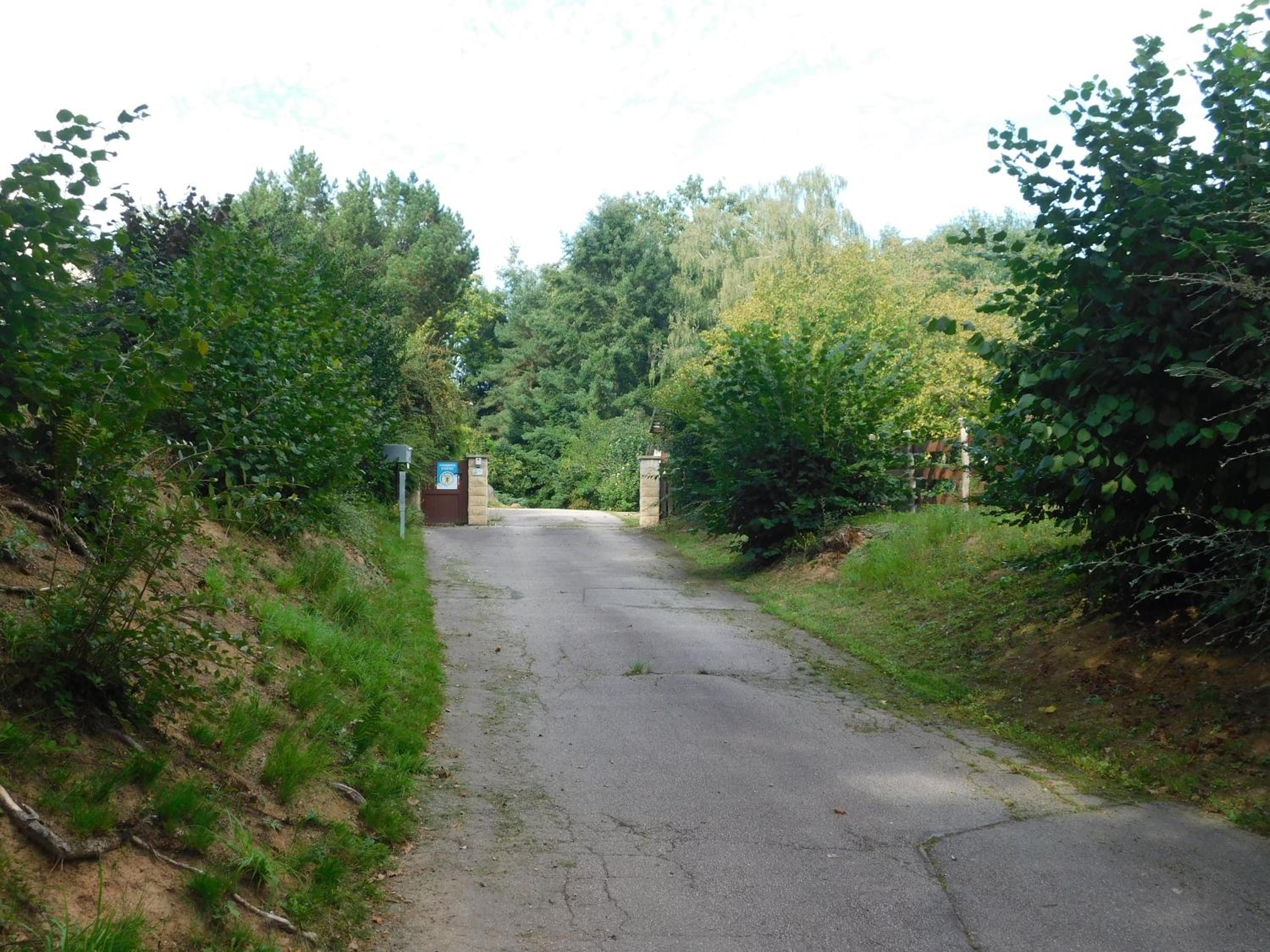 Photo 7