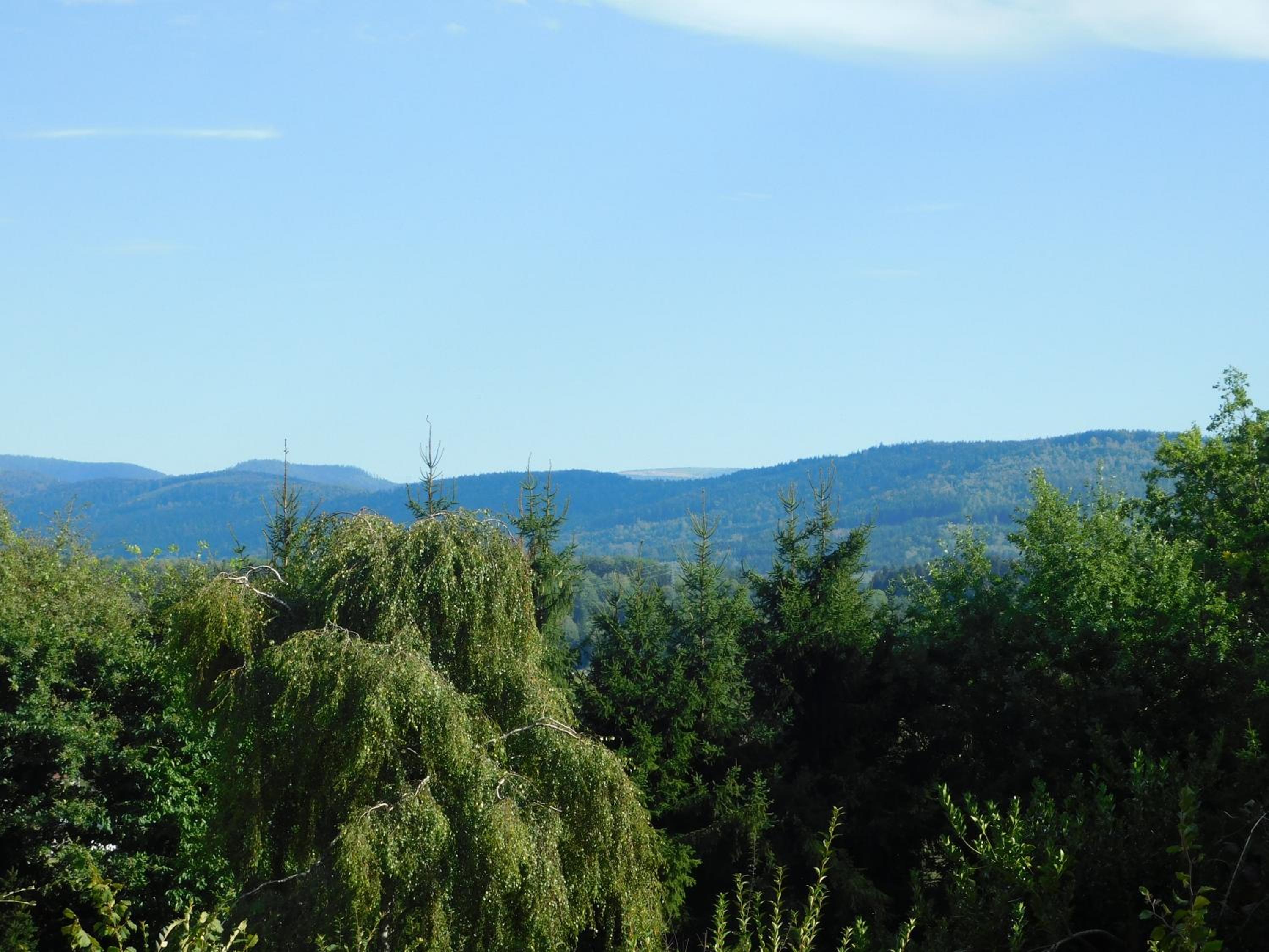 L'AMANDAURE view 4