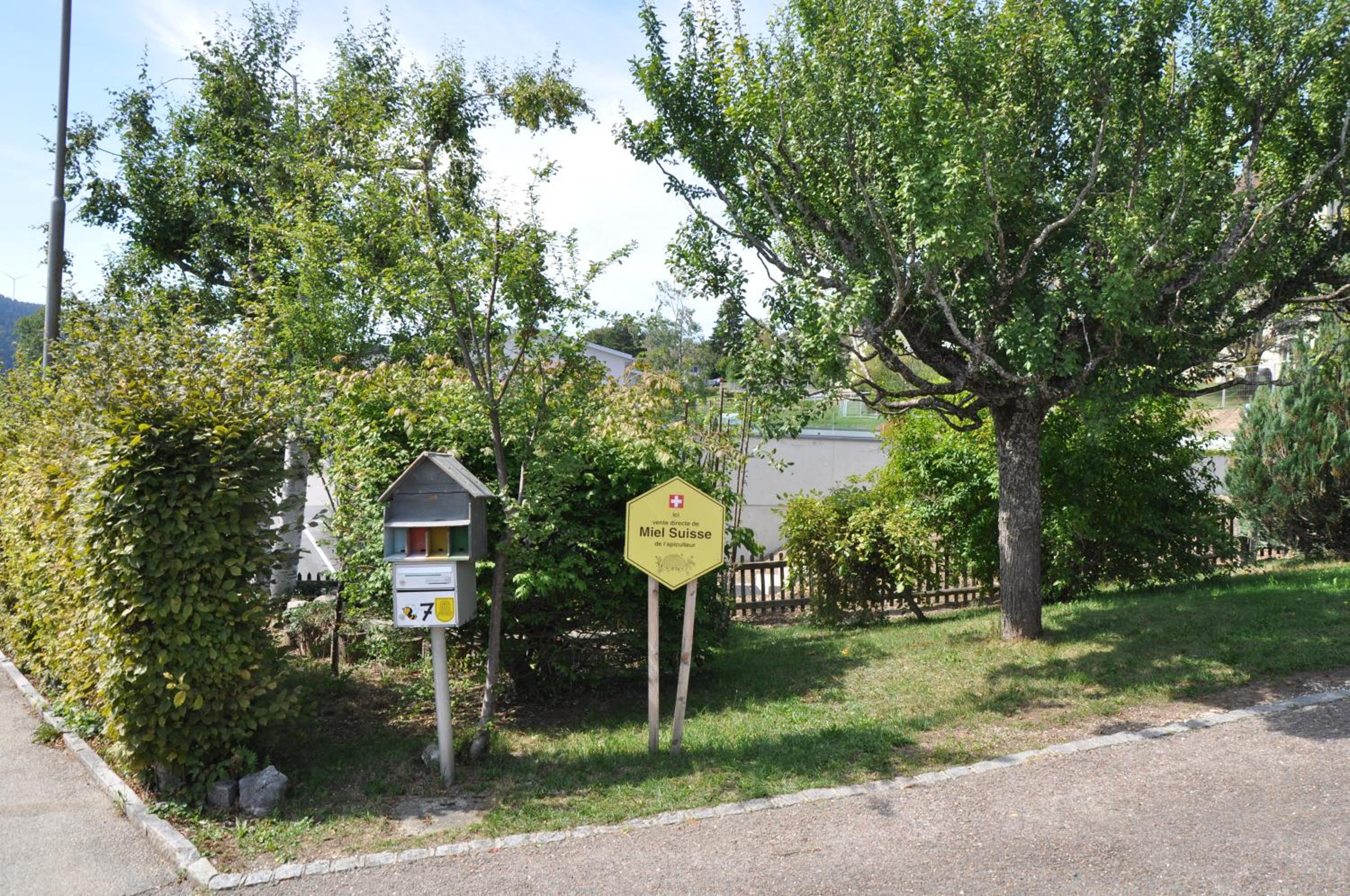 Photo 6