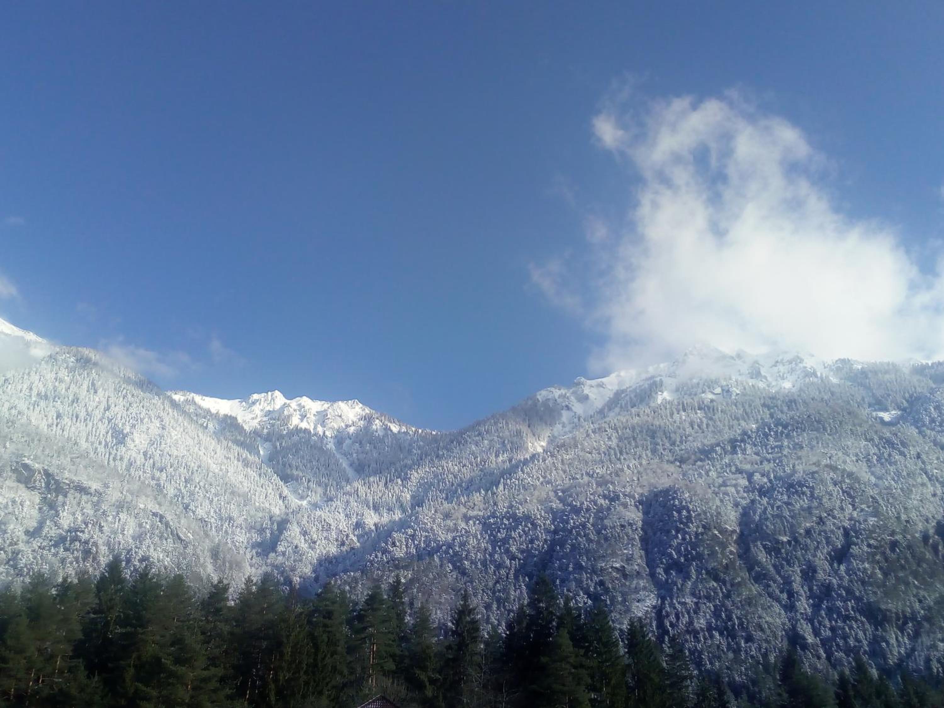 Landhaus Tirol