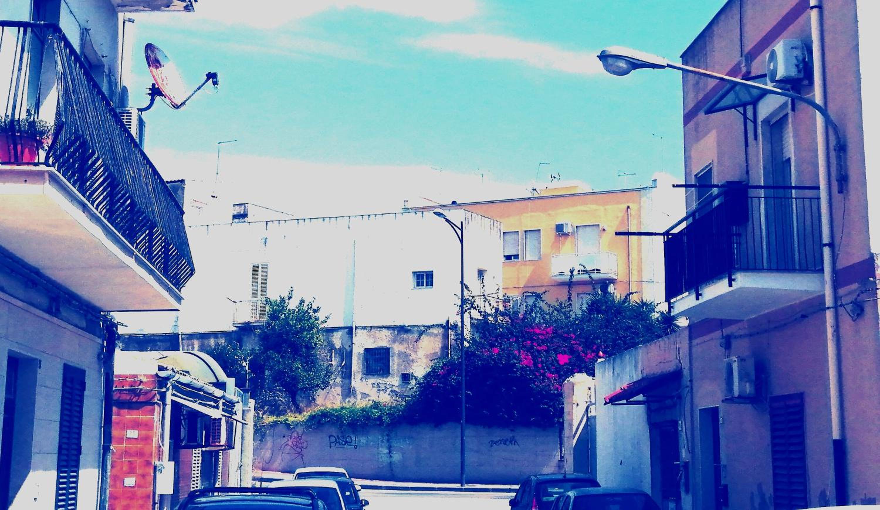Photo 57