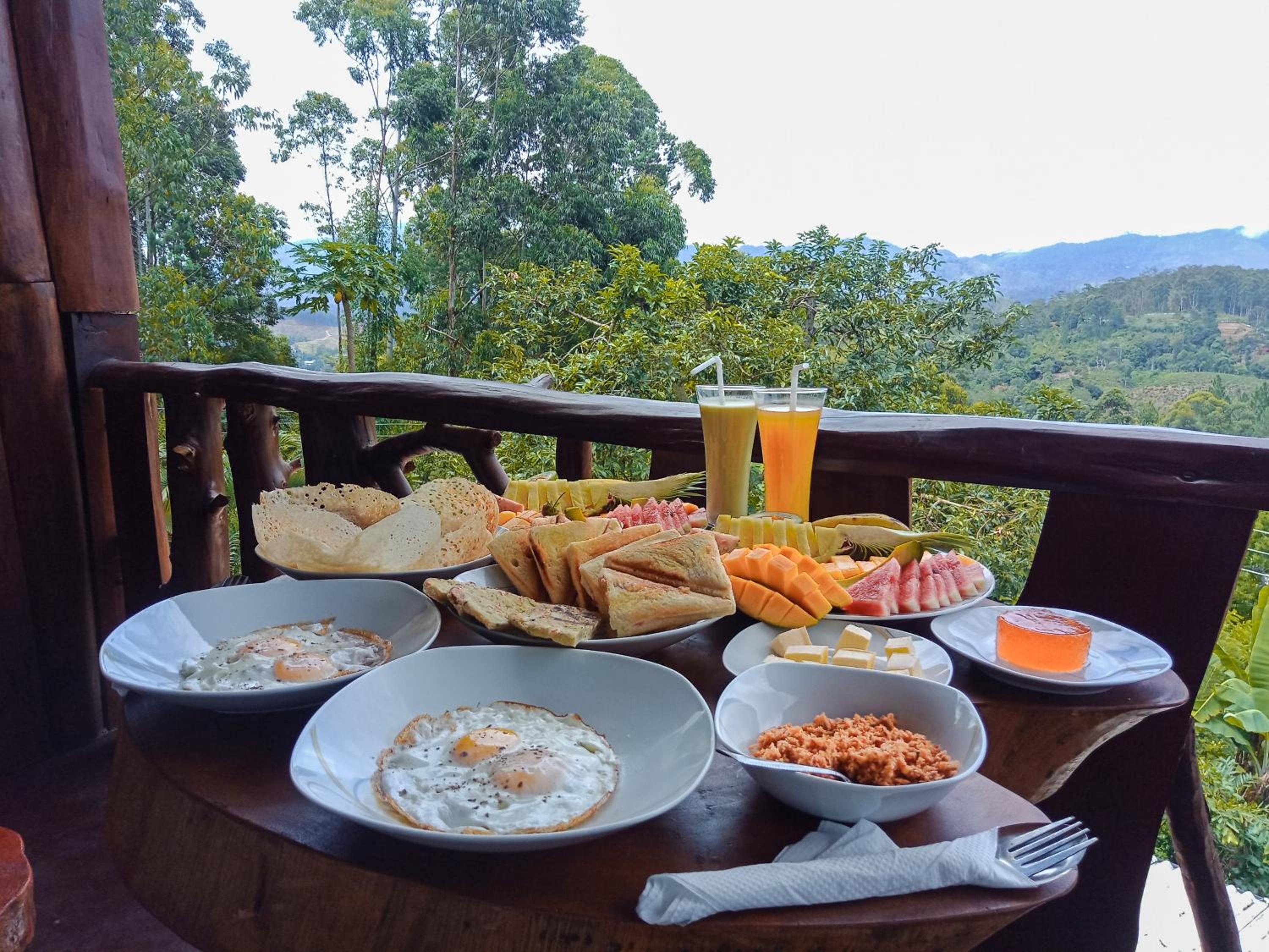 Chill Wood Resort view 3