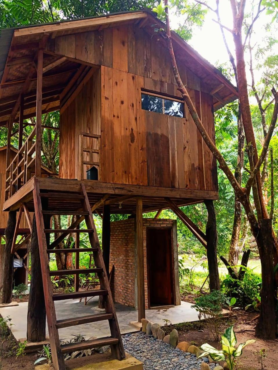 Bua Guesthouse Tangkahan view 4