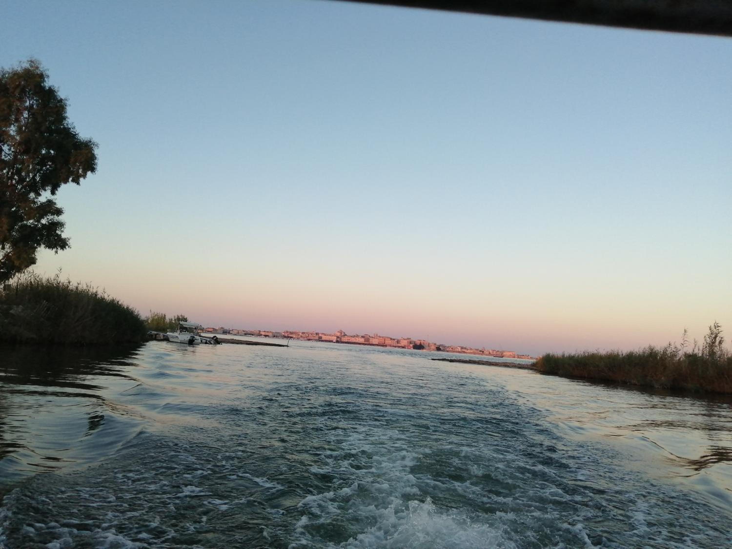 Photo 51